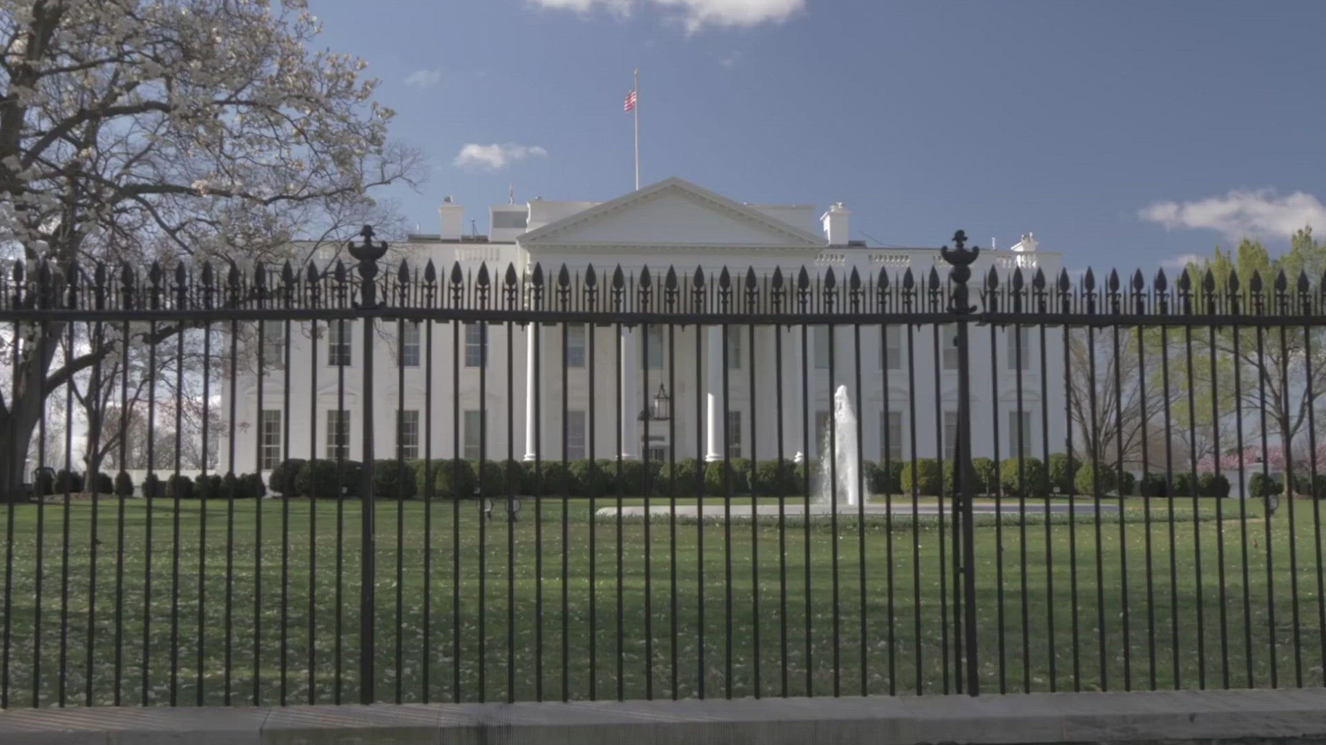 The White House is reportedly bypassing the Centers for Disease Control and Prevention over data collection on coronavirus cases, moving to a system that will no longer be public. Veuer's Justin Kircher has more.