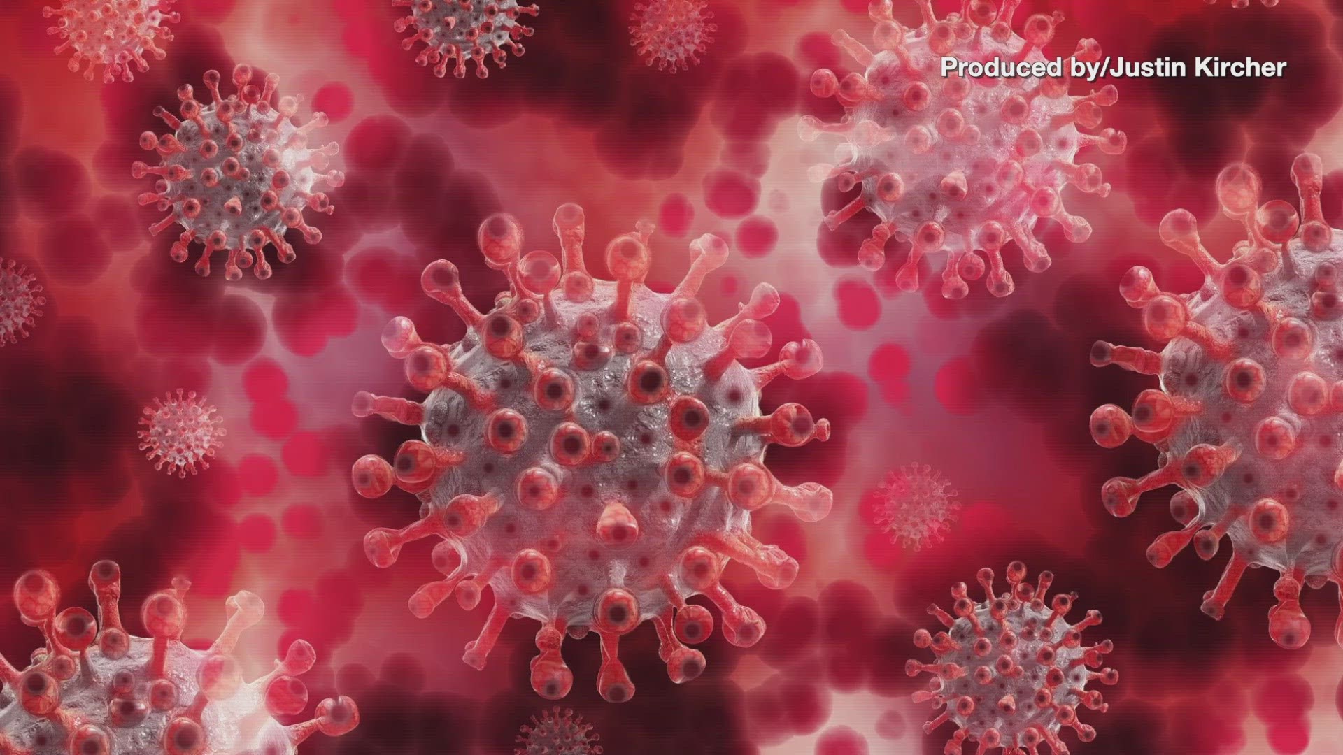 Researchers believe immunity to coronavirus might not be long-lasting, as the first confirmed case of reinfection was discovered in Hong Kong. Veuer's Justin Kircher has the story.