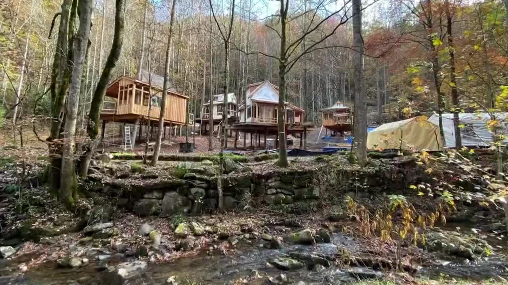 Treehouse getaways coming to the Smokies in Spring 2020 - Courtesy WBIR