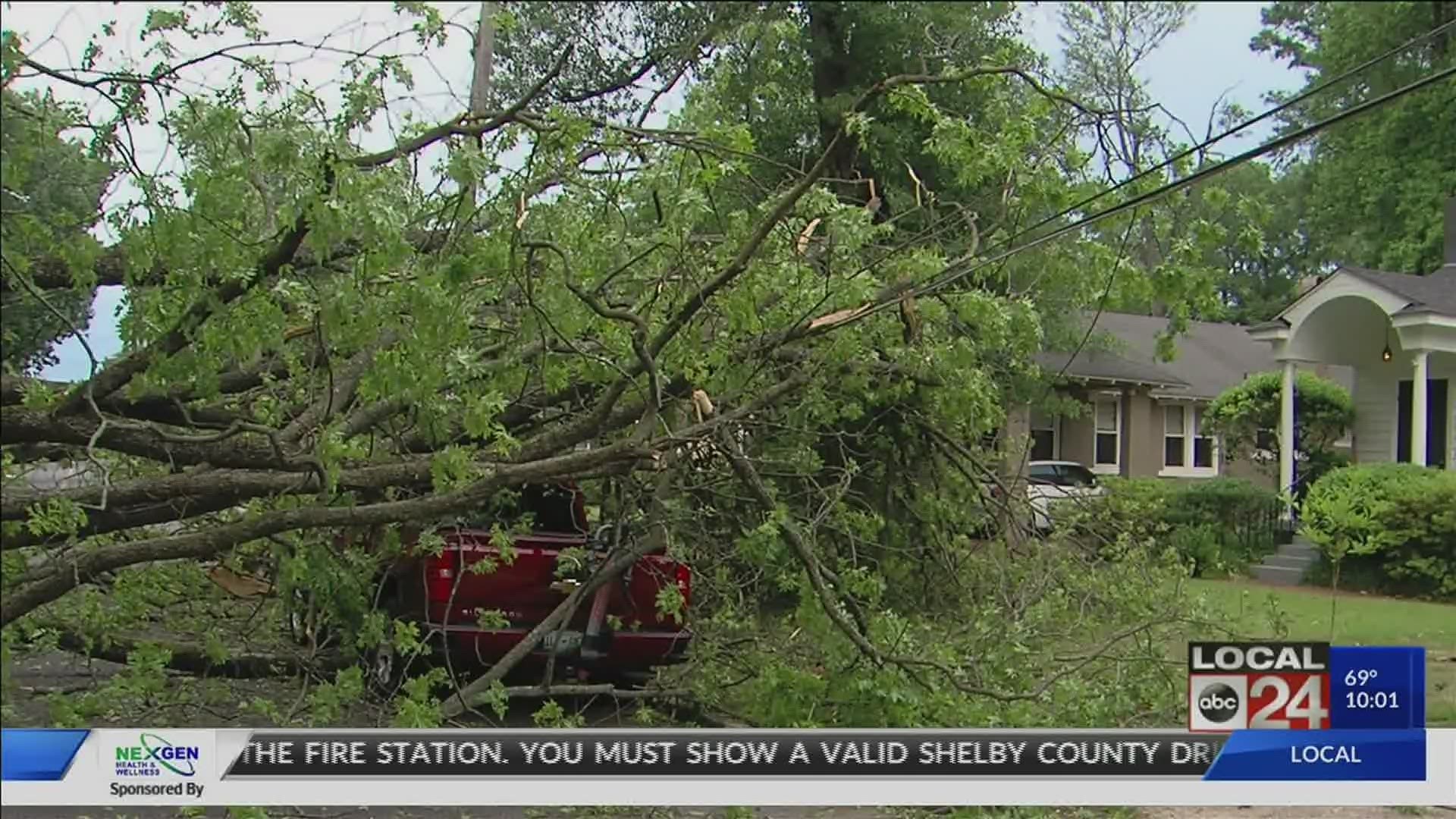 Huge trees crashed down, power knocked out to tens of thousands of people