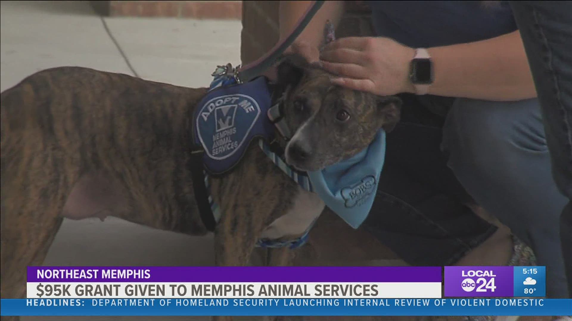 "Bobs" from Skechers and Petco Love are giving Memphis Animal Services a $95,000 grant to help animals in the Mid-South.