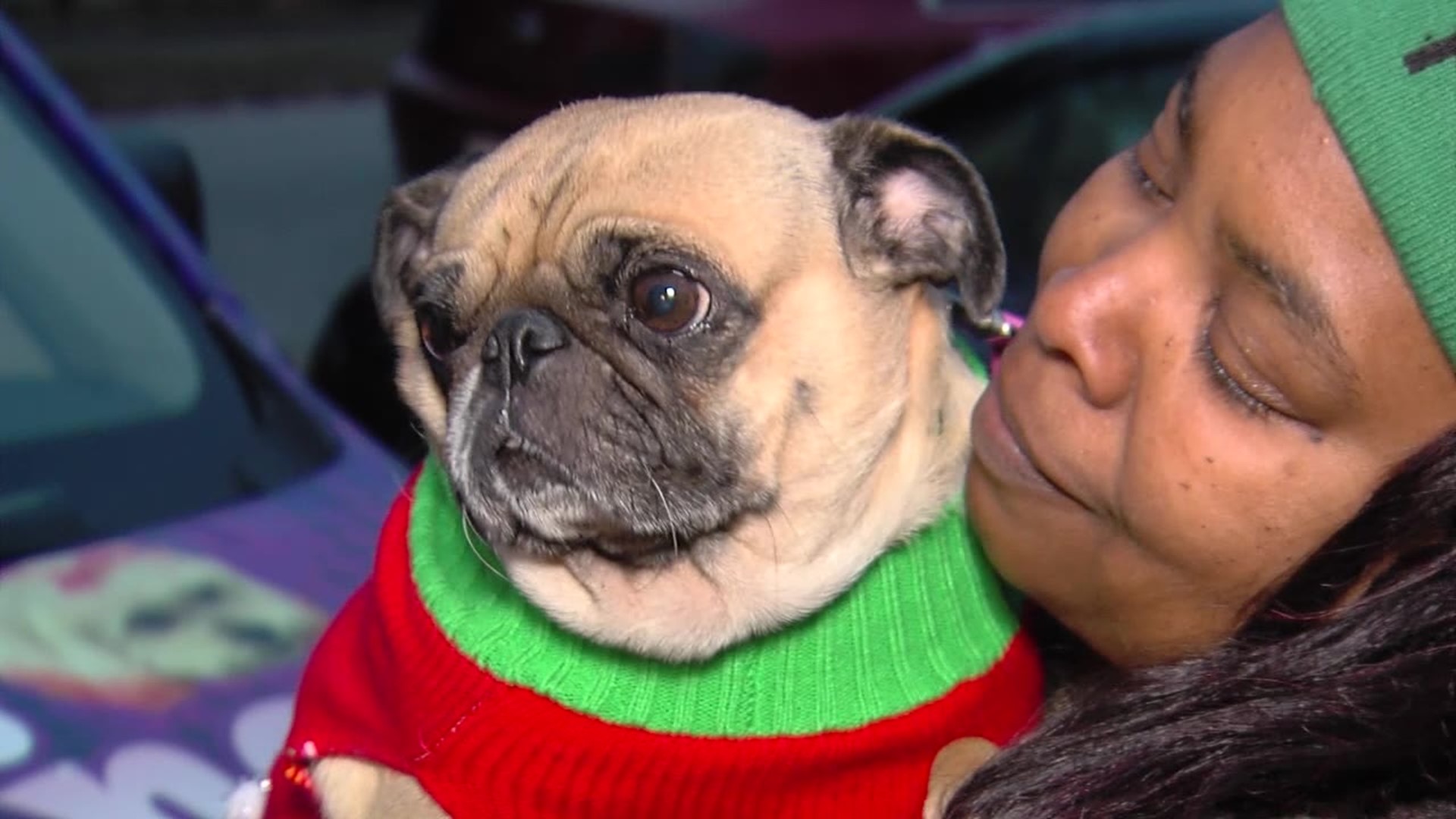 After a Grinch steals her dog right before Christmas, Memphis woman reunited with her beloved pug named Pug