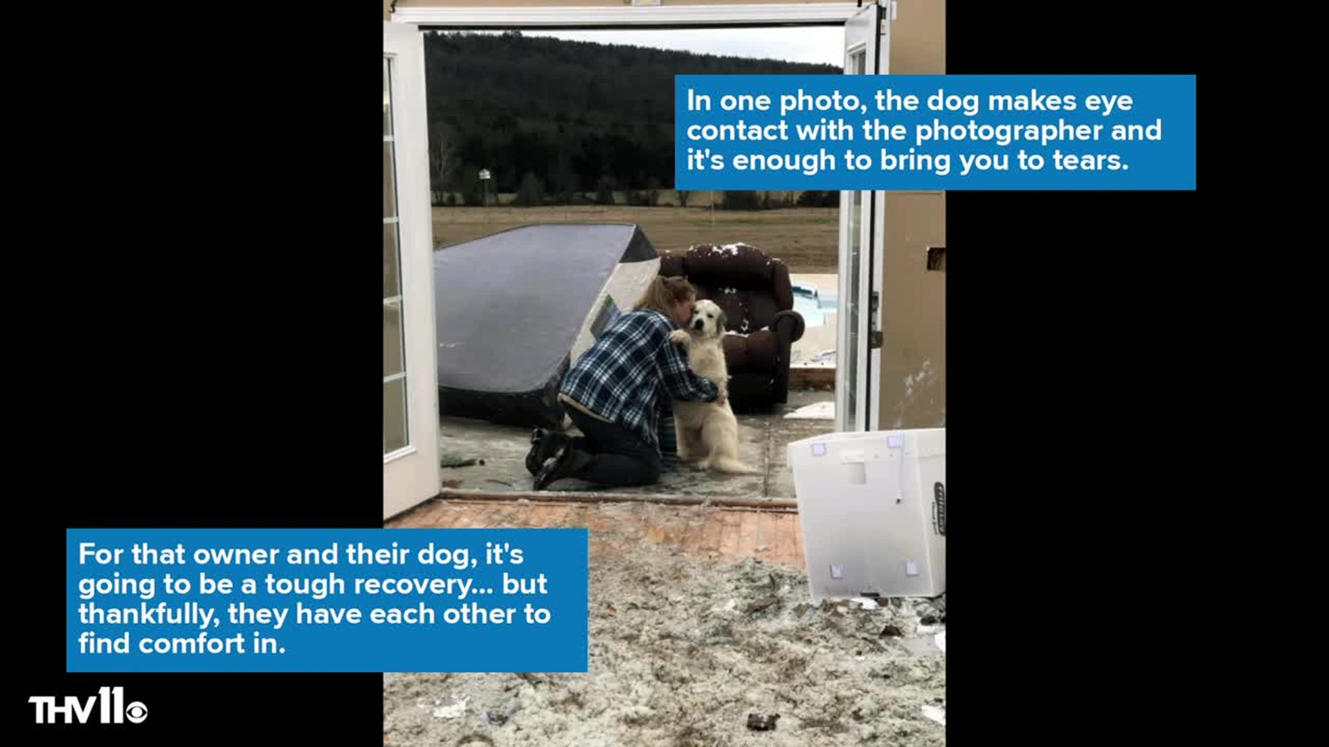 Dog reunites with owner after tornado destroys house in Arkansas - Courtesy KTHV