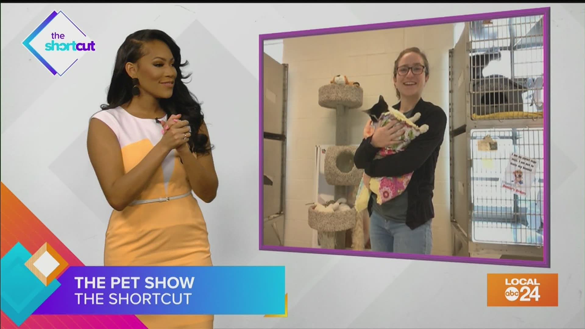 Pick up your nest pet from the Humane Society. Join Sydney Neely on The Shortcut.