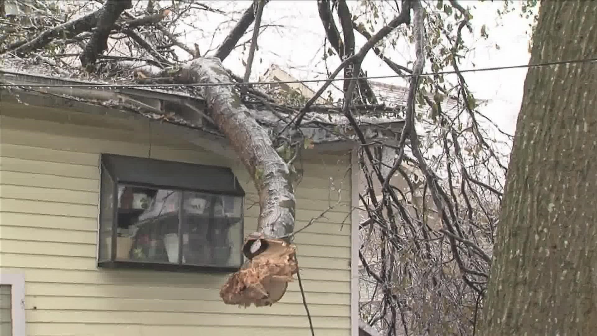 Angela Davidson ran down her basement stairs as sheetrock fell on top of her when a tree branch fell.