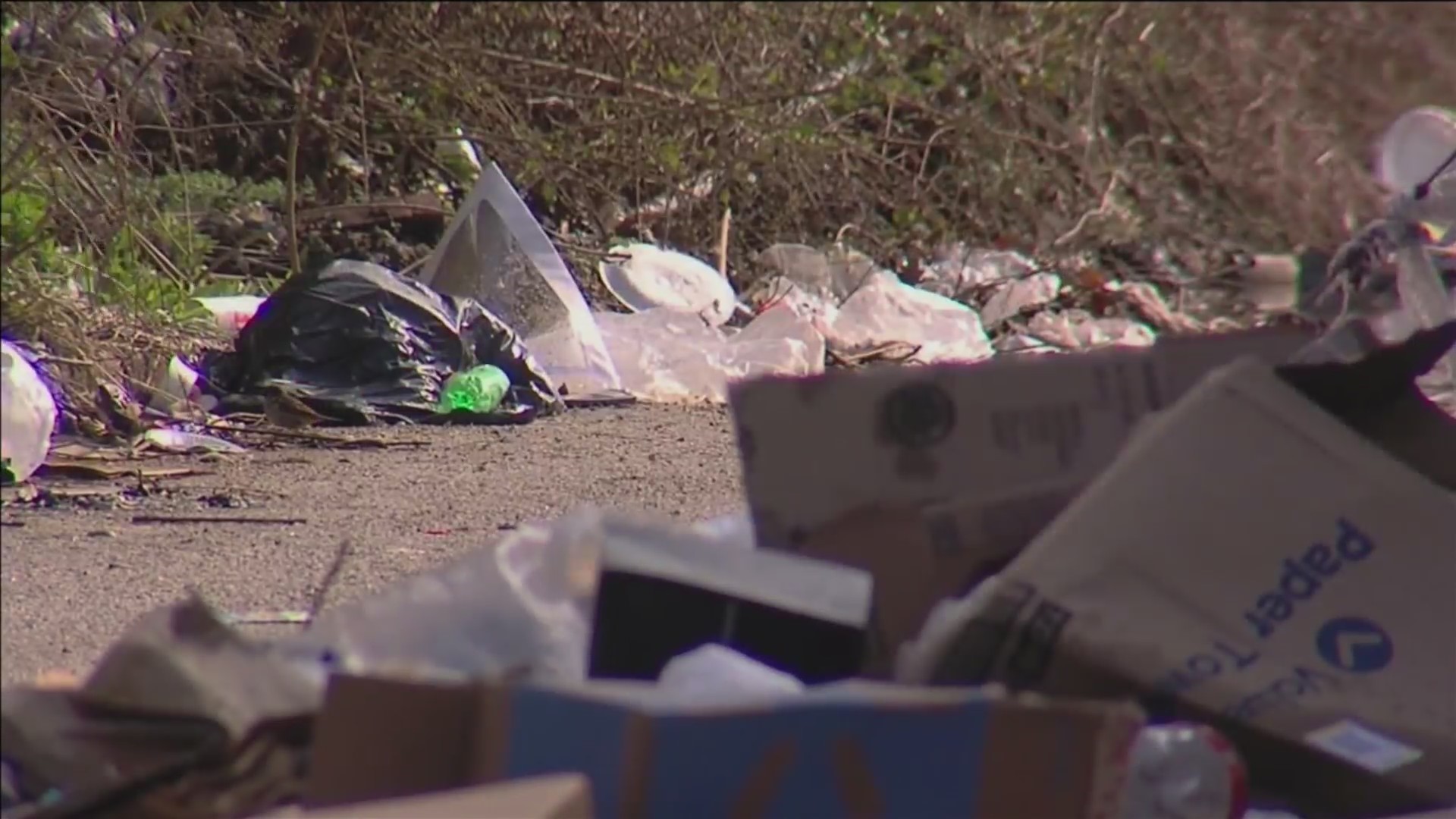 Concerns about trash piled up around Frayser Family Dollar