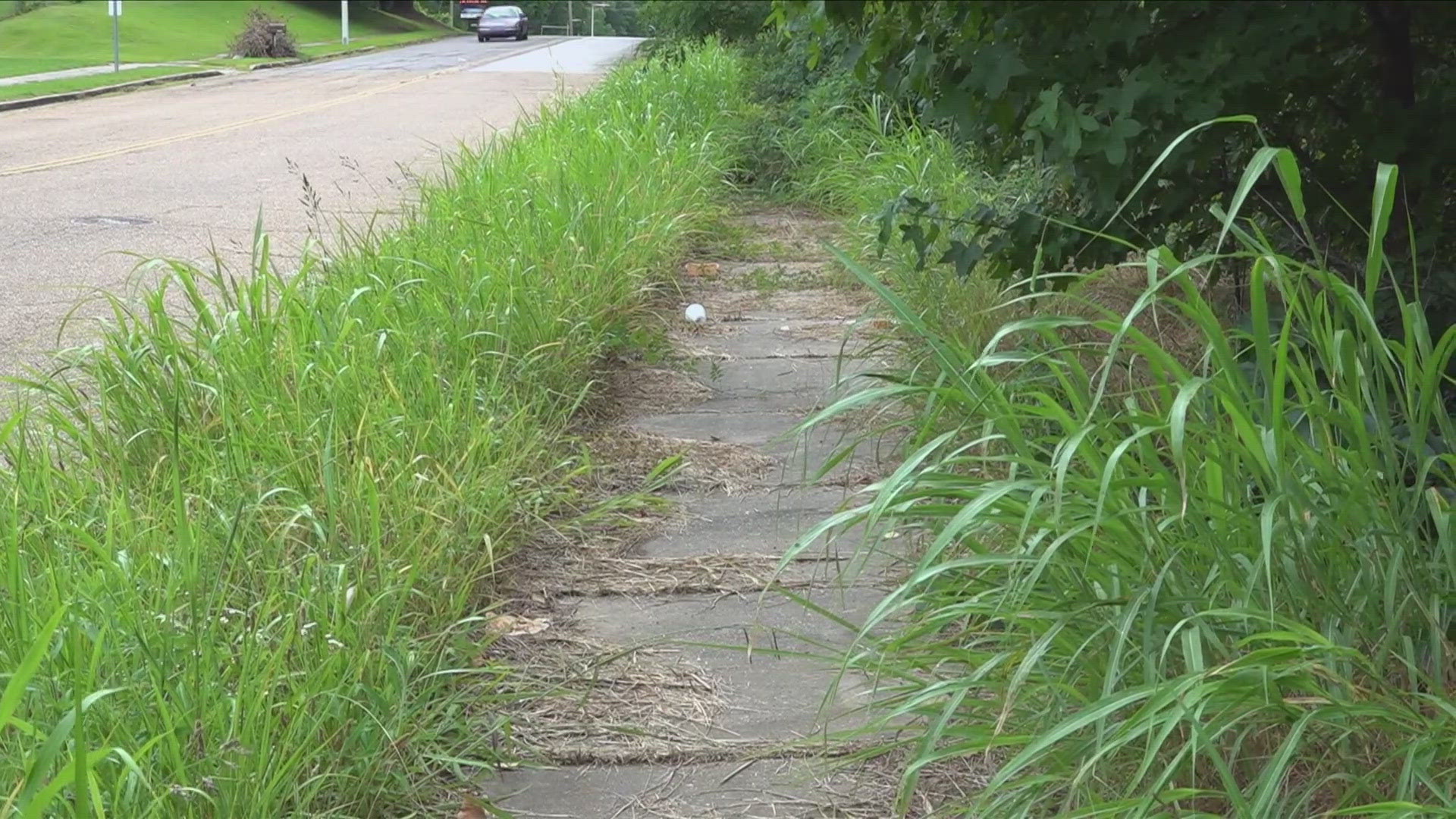 The City of Memphis has addressed the growing problem of blight in a Whitehaven neighborhood after community members brought concerns to ABC24 at a Let’s Talk.