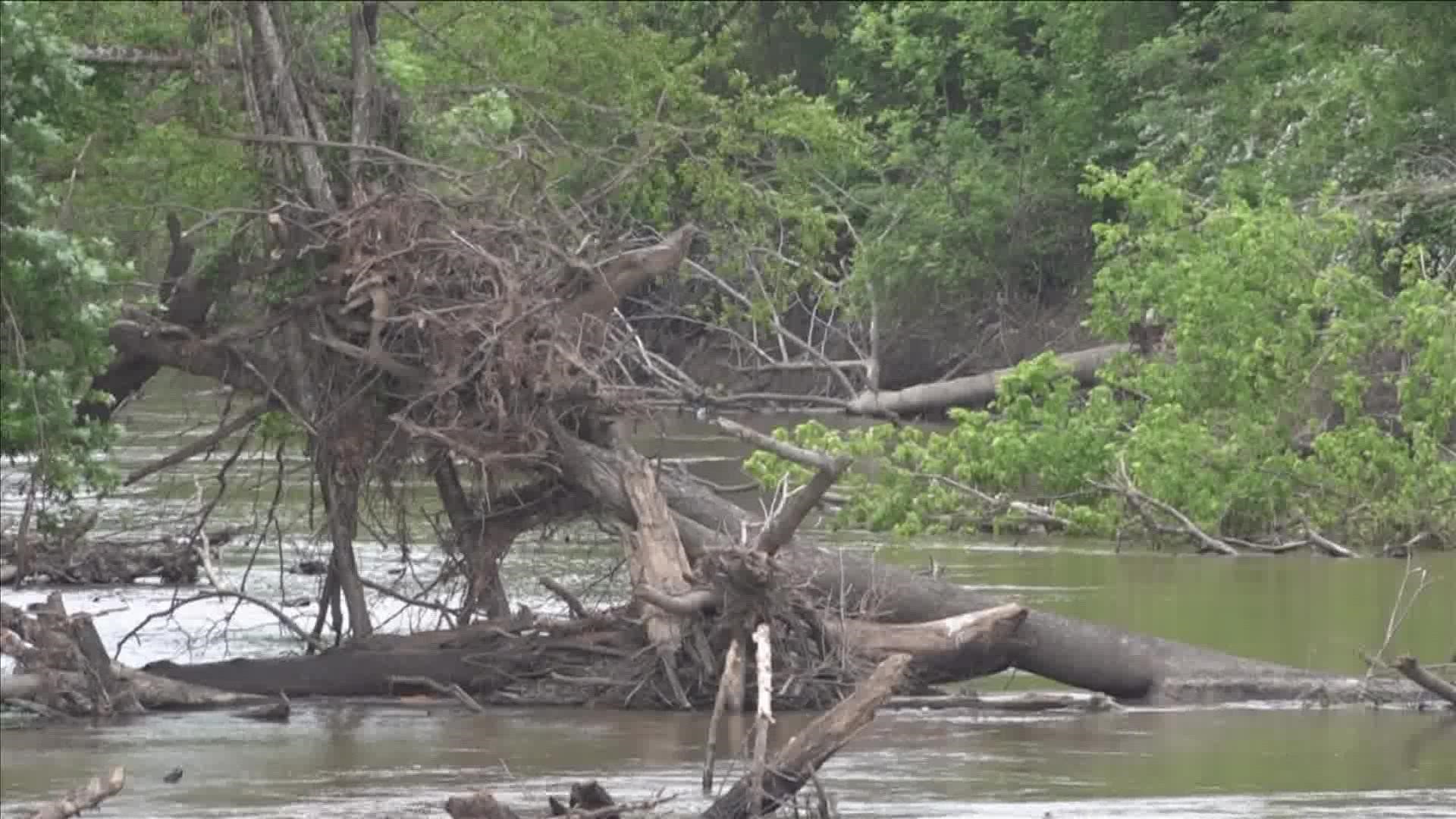 The Shelby County Sheriff's Office said they first got a report that someone may have drowned in the Wolf River Sunday, May 1.
