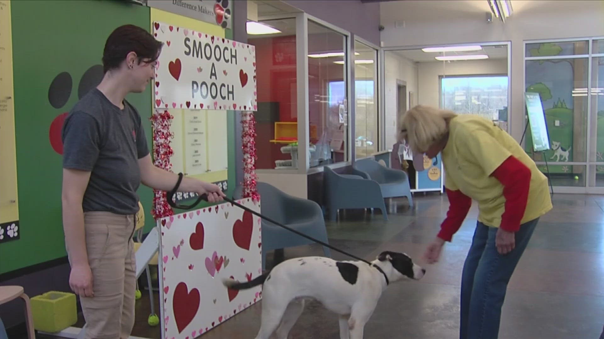 The organization invited people to stop by and get some love from puppies in need of adoptions.