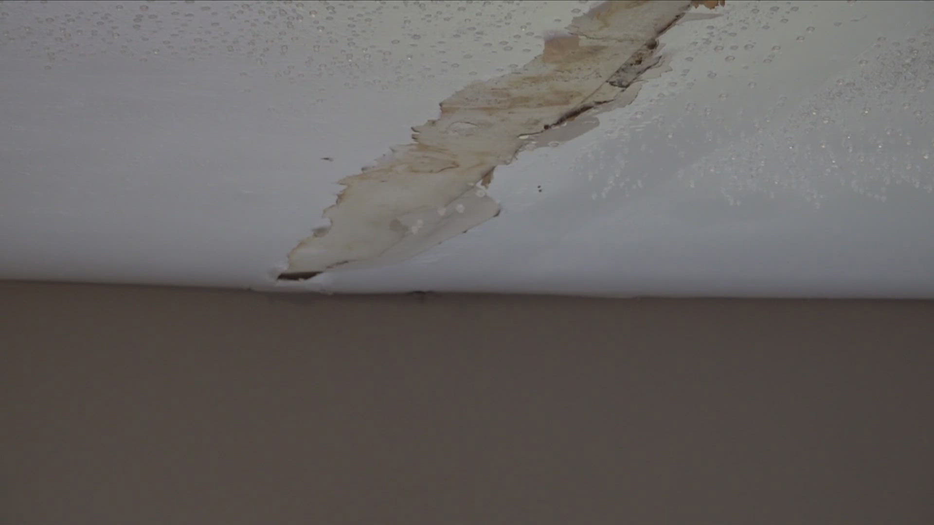 As remnants of Tropical Storm Francine leave the Mid-South, a renter at Appletree Apartments is complaining about the rain leaking through his ceiling.