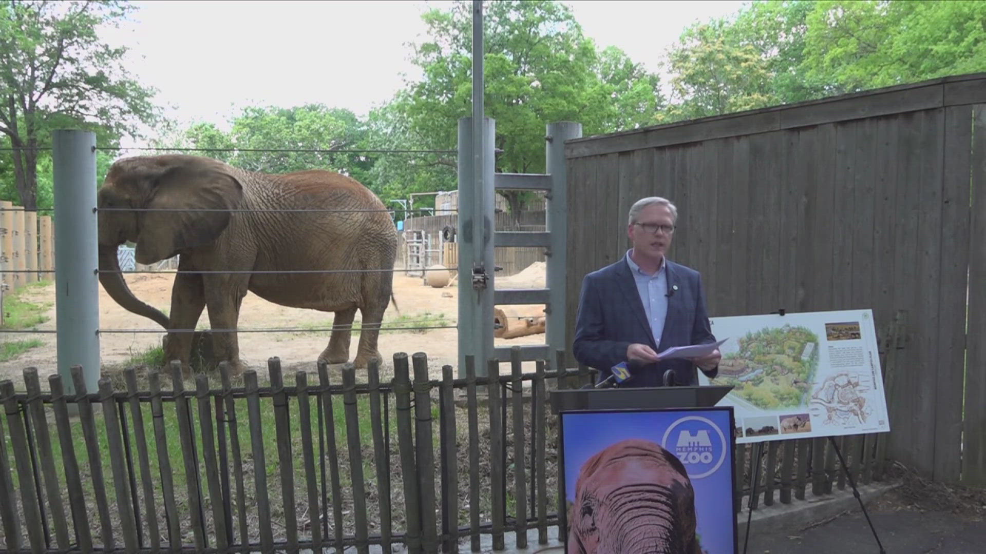 Memphis Zoo announced phase one of its massive renovation plan, hoping to bring a better experience for zoo-goers and better habitats for their animals.