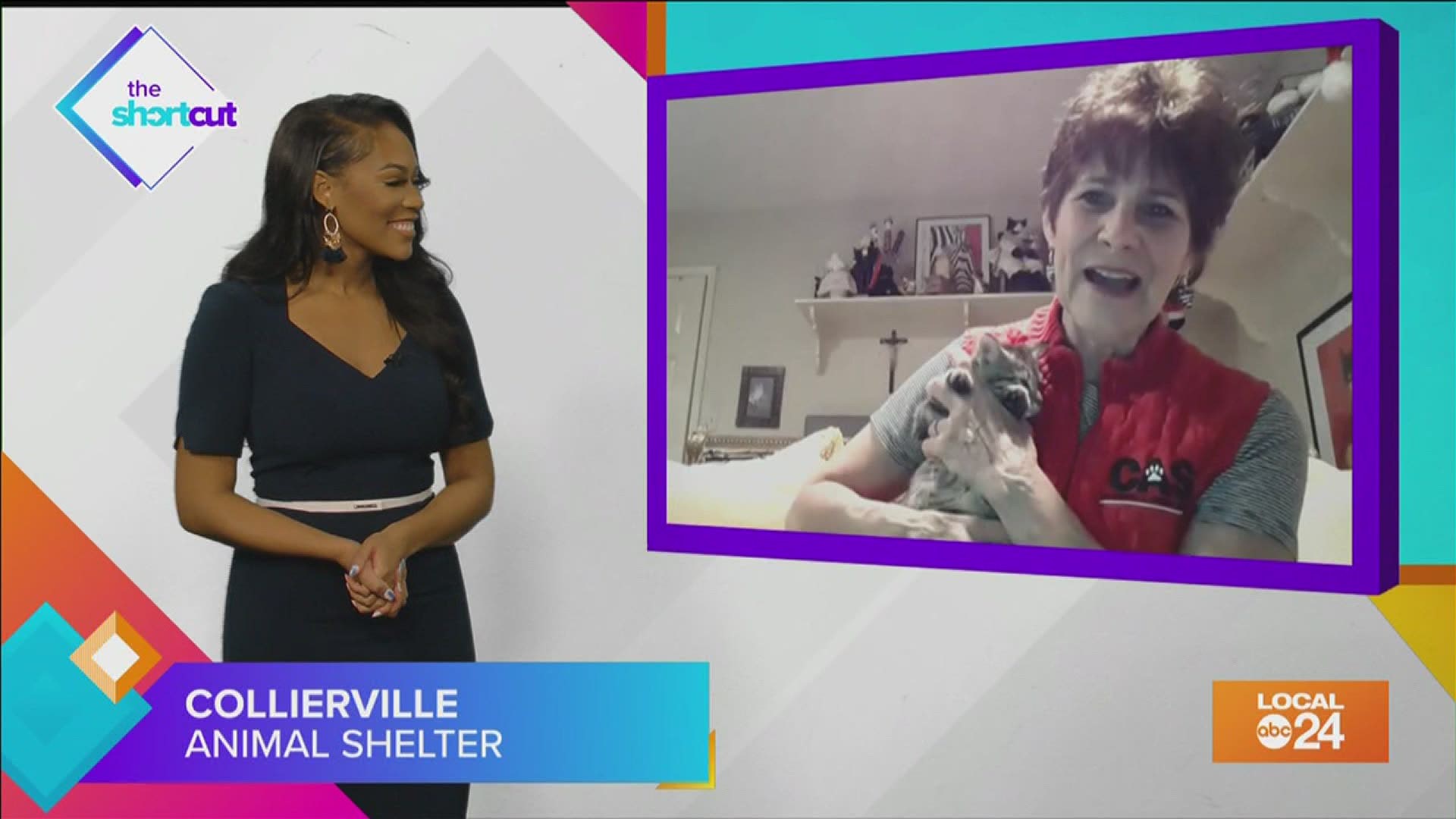 Thinking about adopting a pet at the Collierville Animal Shelter? In that case, join Sydney Neely and guest Nina Wingfield to learn more and meet some cute kittens!
