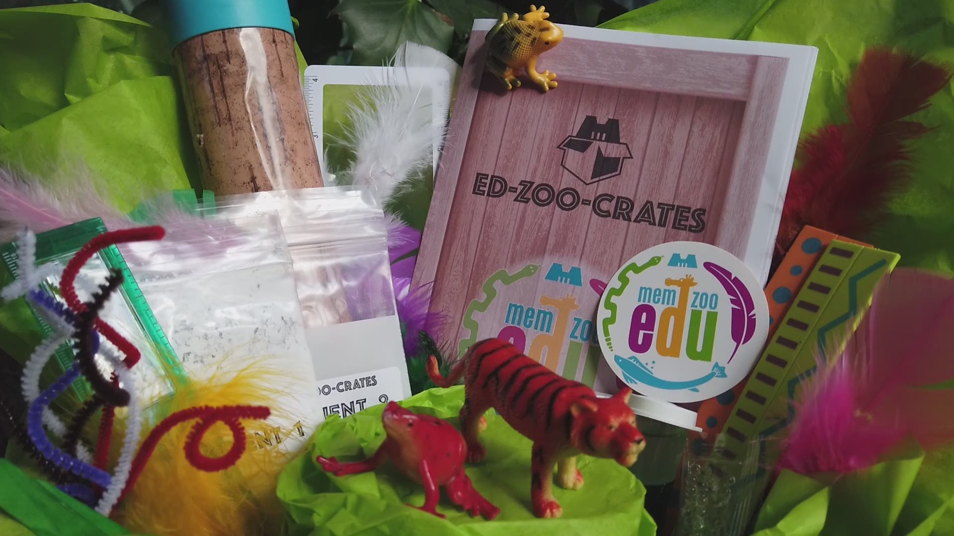 The Ed-ZOO-crates are boxes filled with activities, and offer interactive livestreams with Zoo team members.