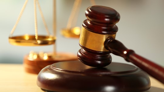Patricia Johnson sentenced to 10 years in prison for identity theft ...