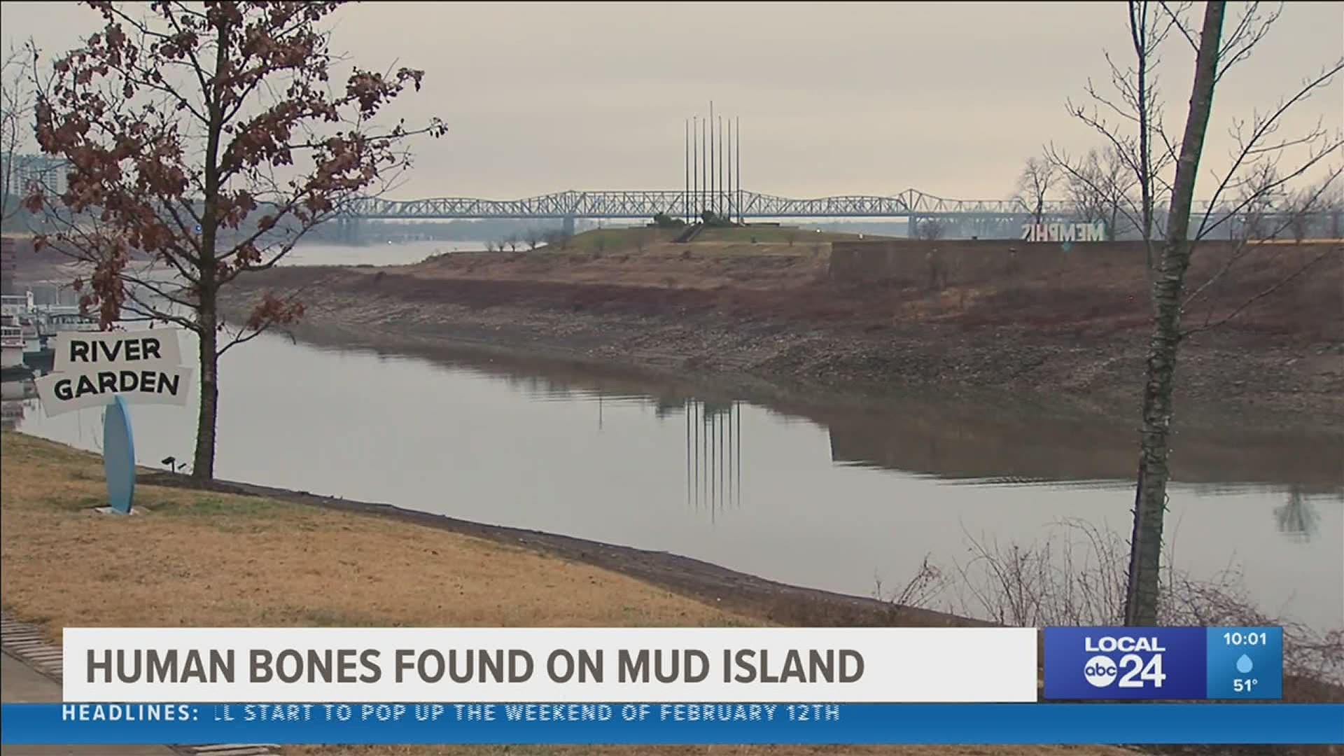 MPD are investigating after human bones were found on Mud Island Saturday afternoon.