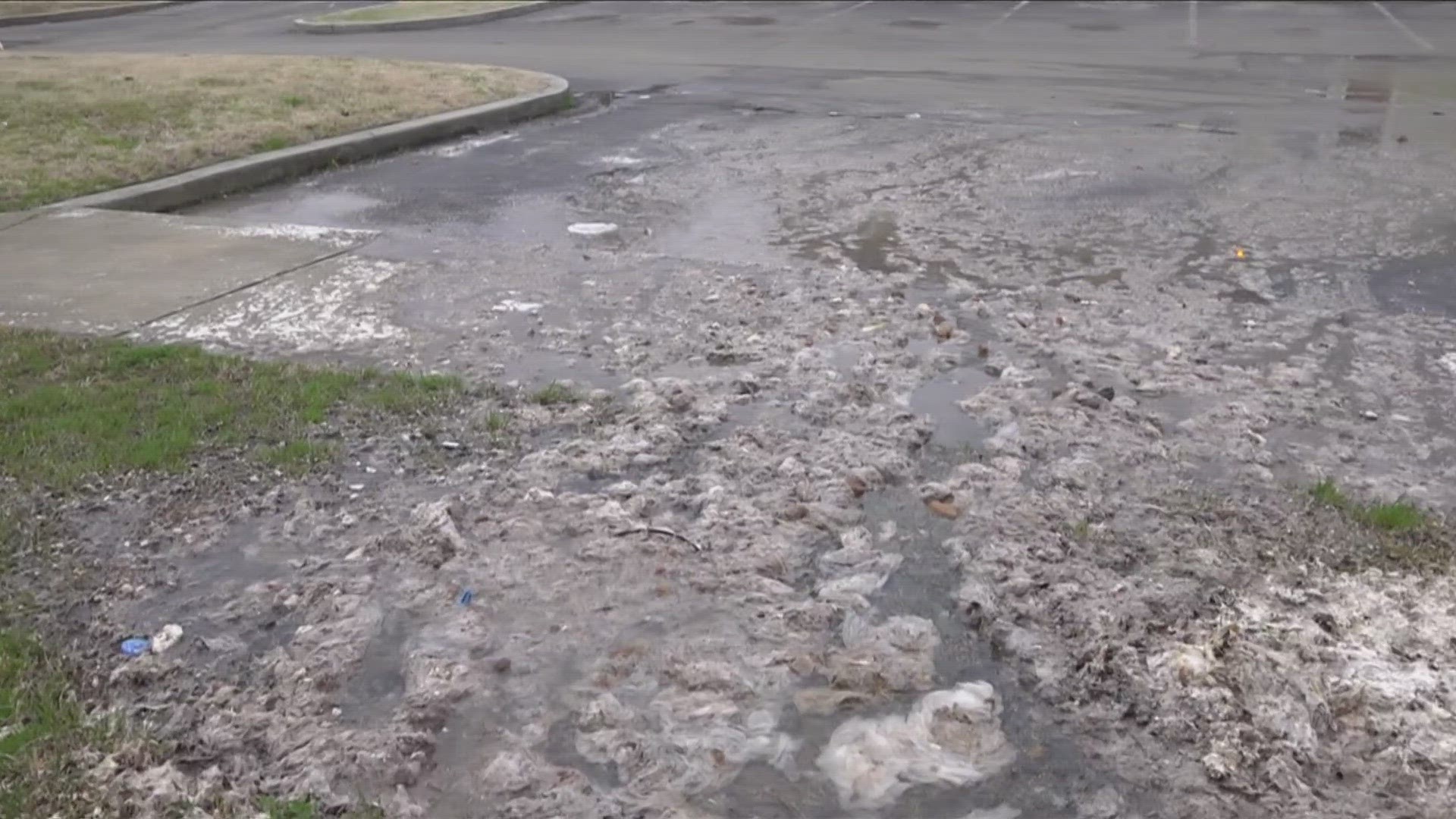 Some renters at a South Memphis apartment complex say they have been dealing with overflowing sewage and garbage for months.