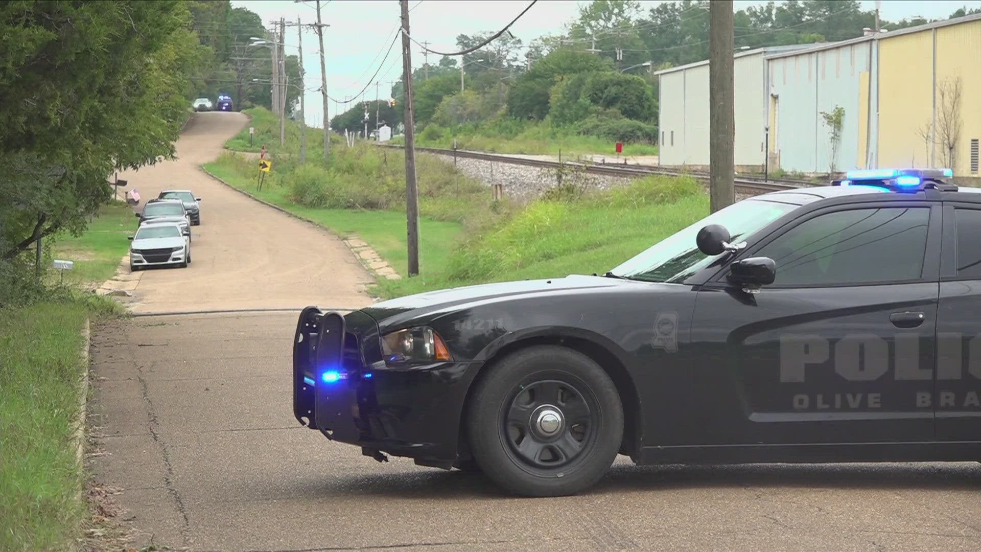 Officers with the Olive Branch SWAT Team were attempting to serve an arrest warrant at a residence on Railroad Avenue.