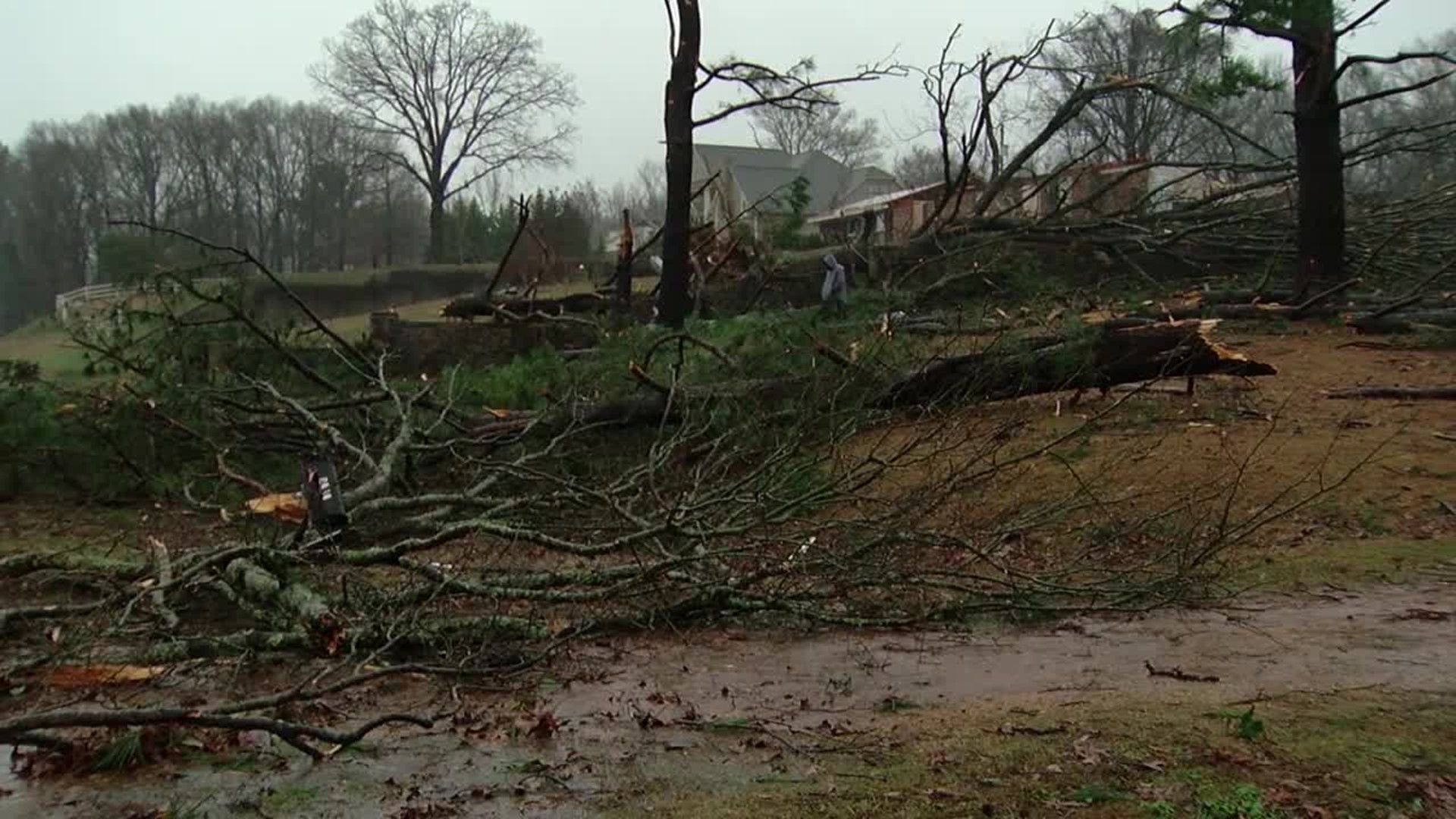 Storm damage in Love community in DeSoto County, MS