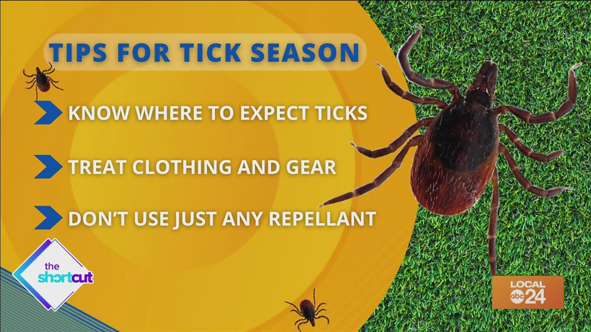 Join Sydney Neely as we take a look at some tips and ticks on how to deal with every animal and human's worst, bloodsucking, forest nightmare - ticks!