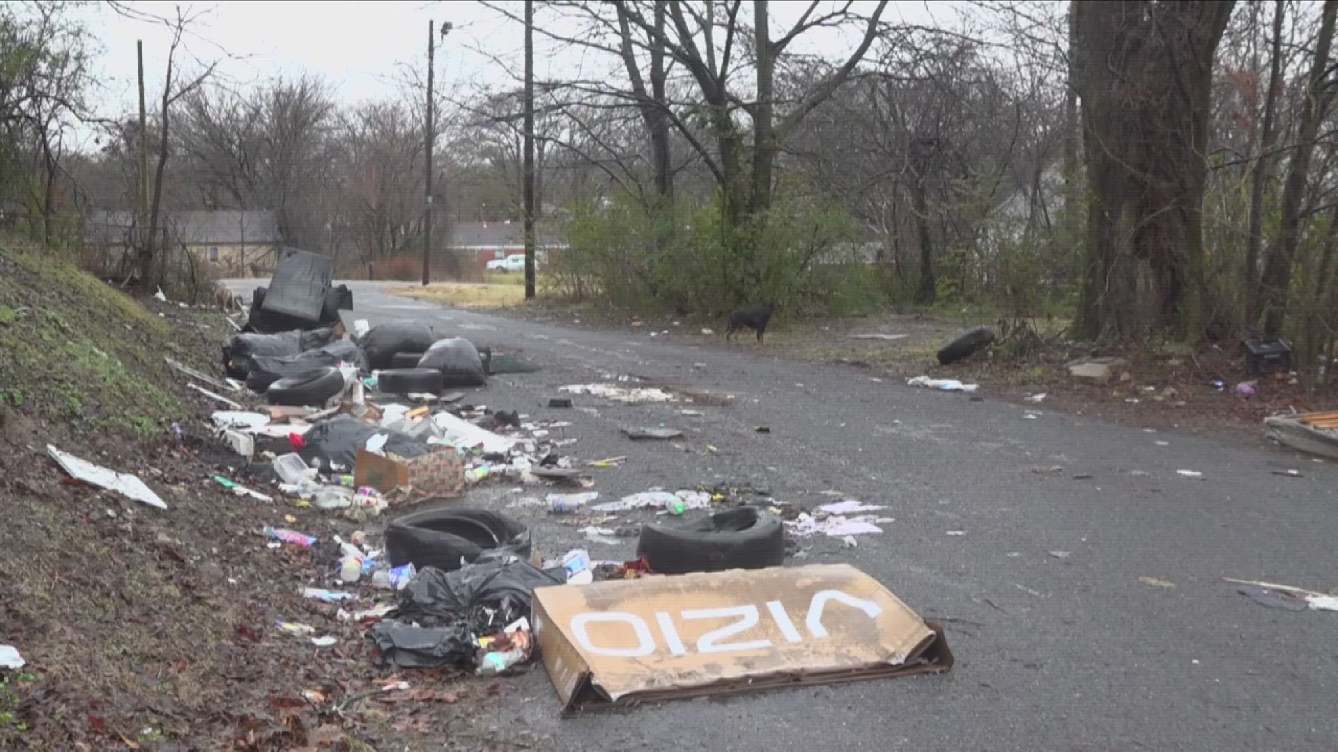 Problems with blight and illegal dumping continue to plague Shelby County, hampering growth in the affected neighborhoods.