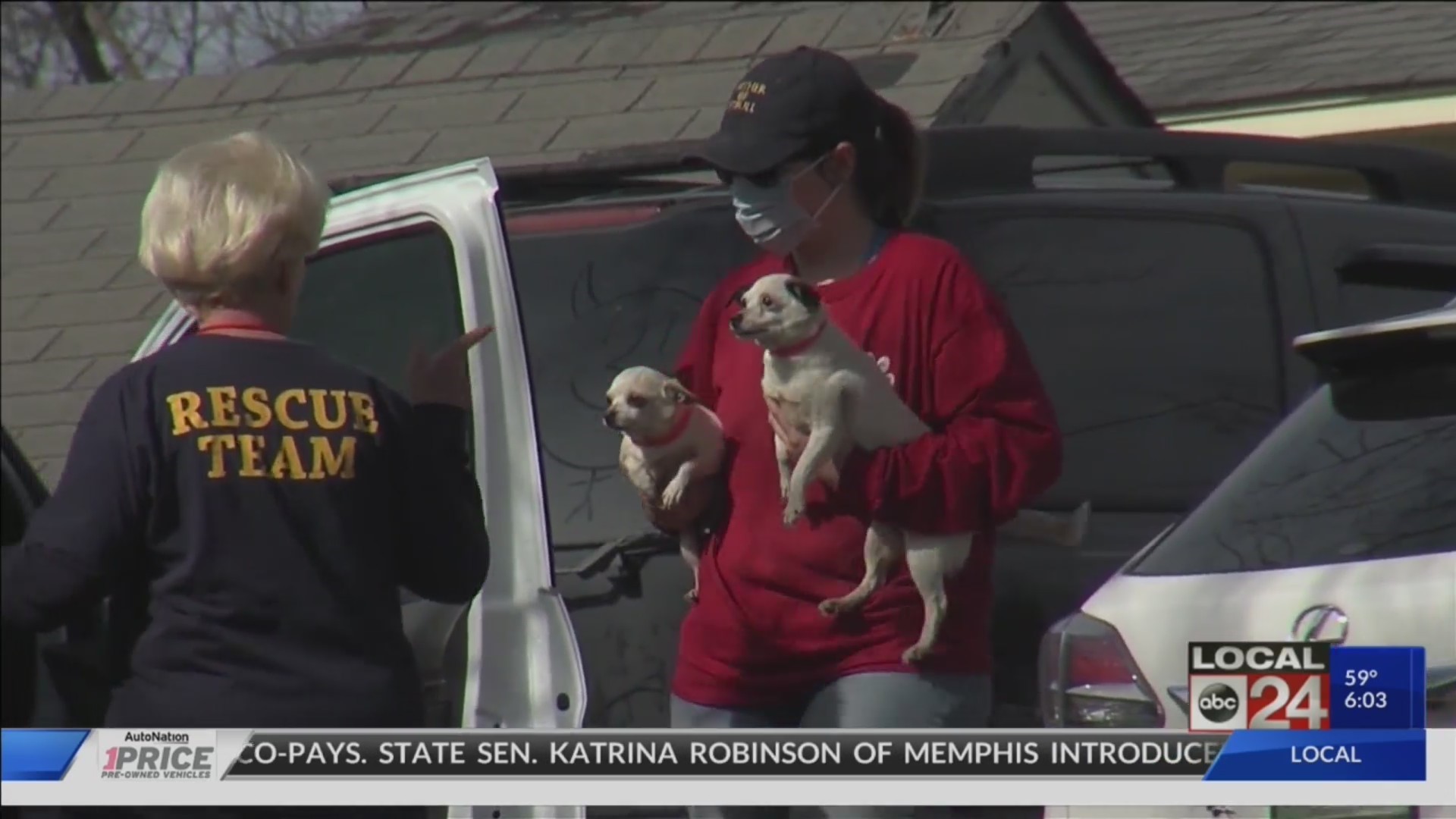 Your support is needed for more than 170 dogs found at suspected puppy mill in Coldwater, MS