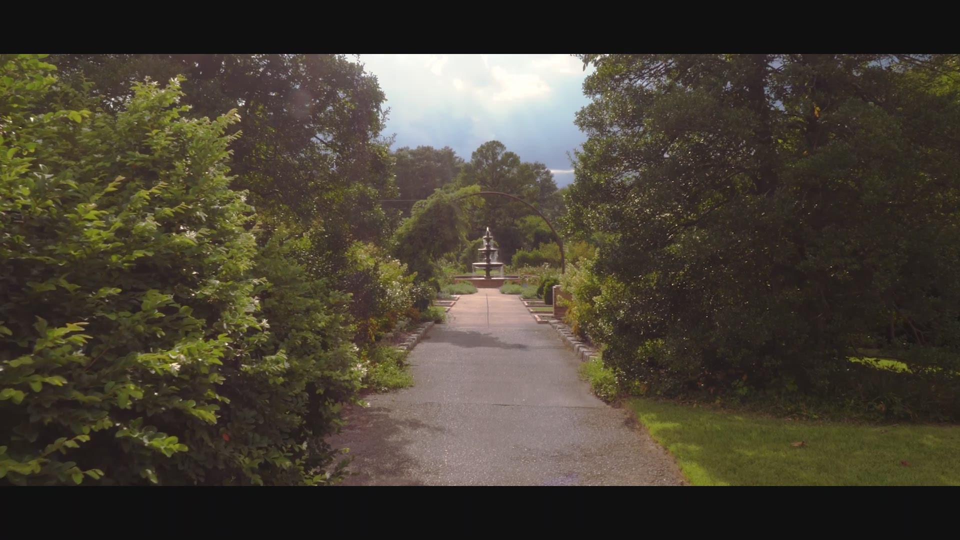 The Memphis Botanic Garden will be reopening today, May 7th at 11 am to members only through May 19th.