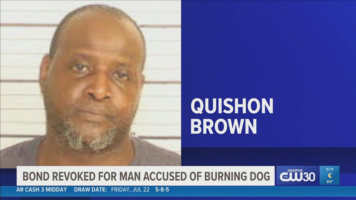 Bond revoked for man accused of setting dog on fire after bail