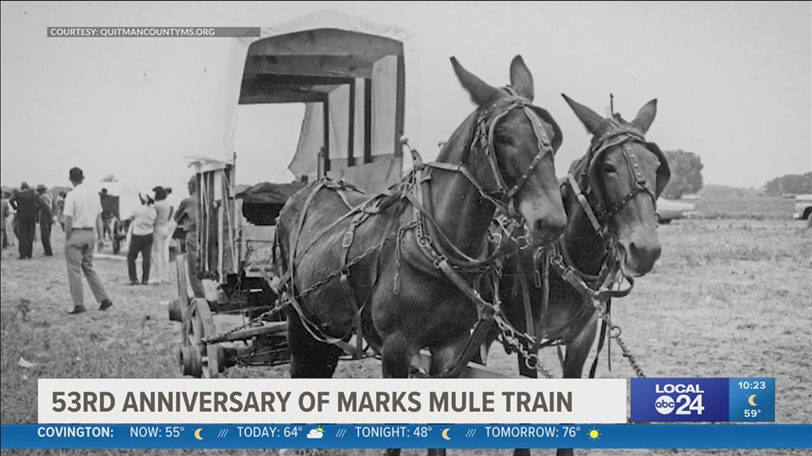 A look back the Mule Train and Poor People's Campaign