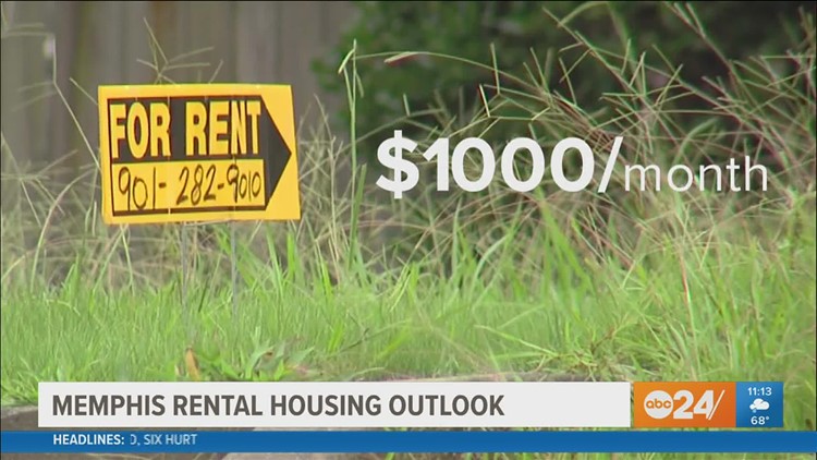$1,000 paid in rental applications; still can't find an affordable place to live in Memphis