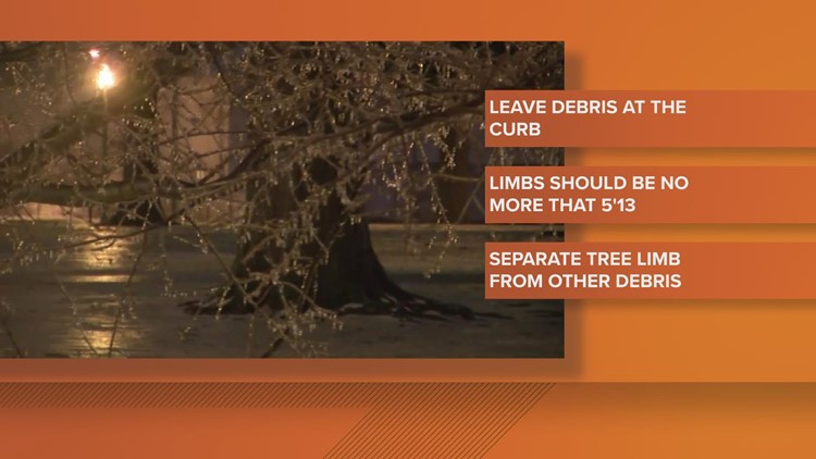 Here's how to get rid of debris and tree limbs after stormy weather