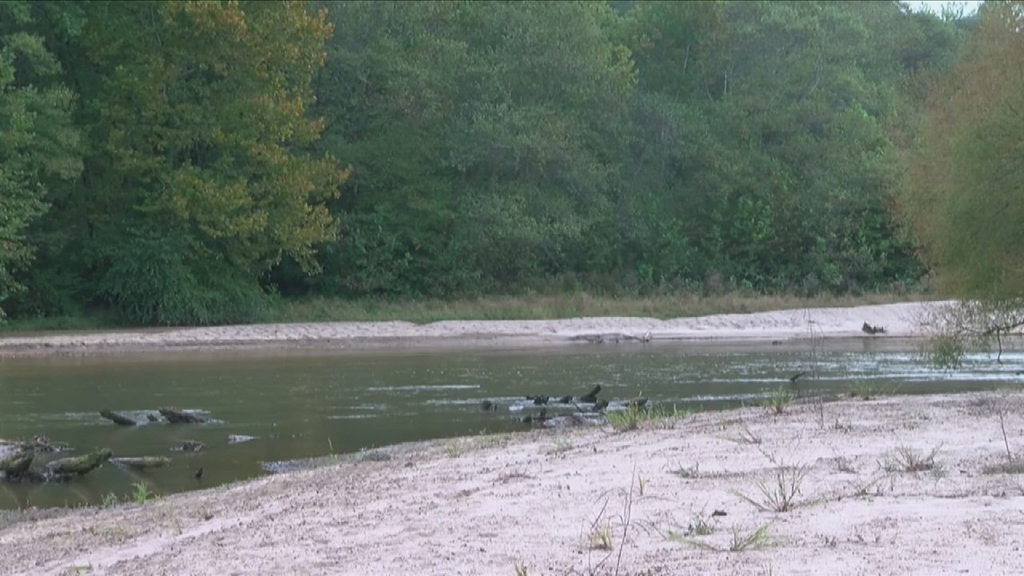 Untouched Tenn. wetlands could open up for commercial development - Vimarsana News