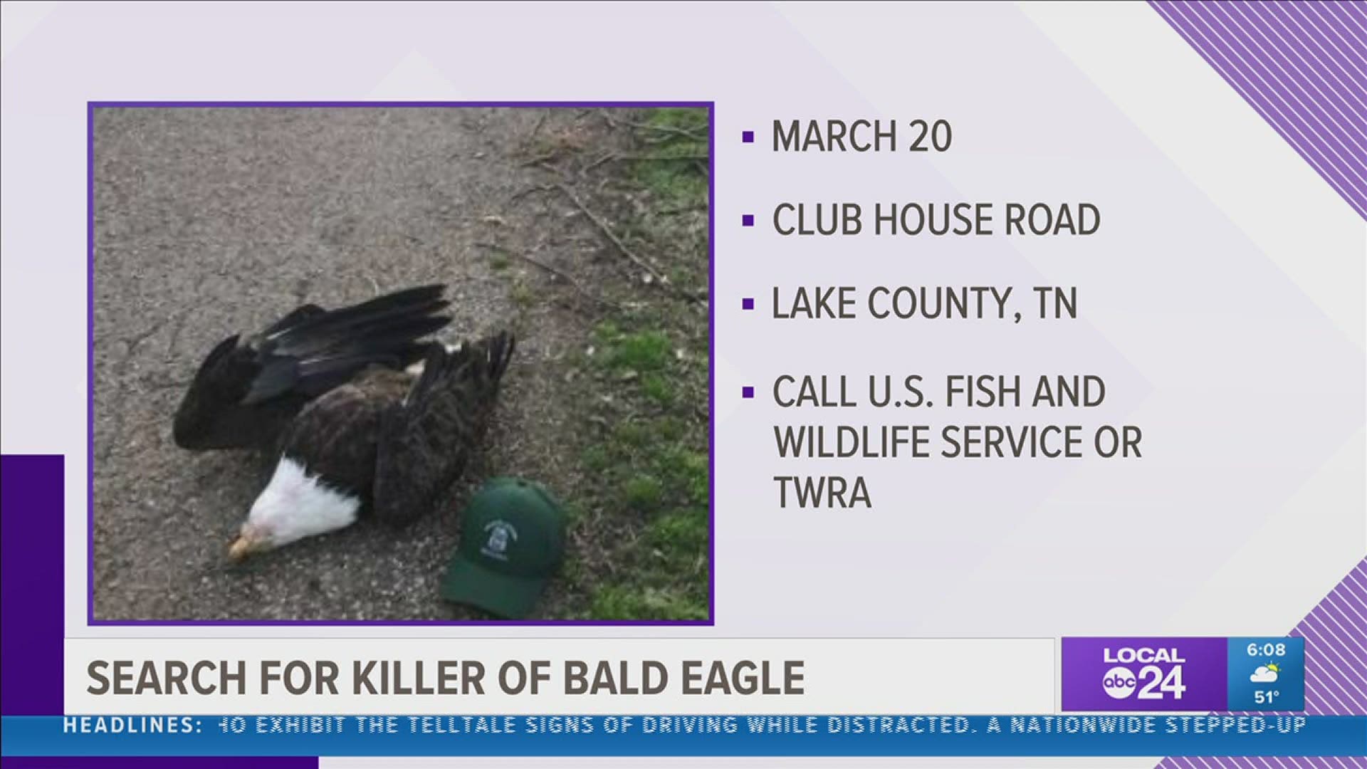 Wildlife officials are offering a $10,000 reward in their investigation into the killing of a bald eagle in Lake County.