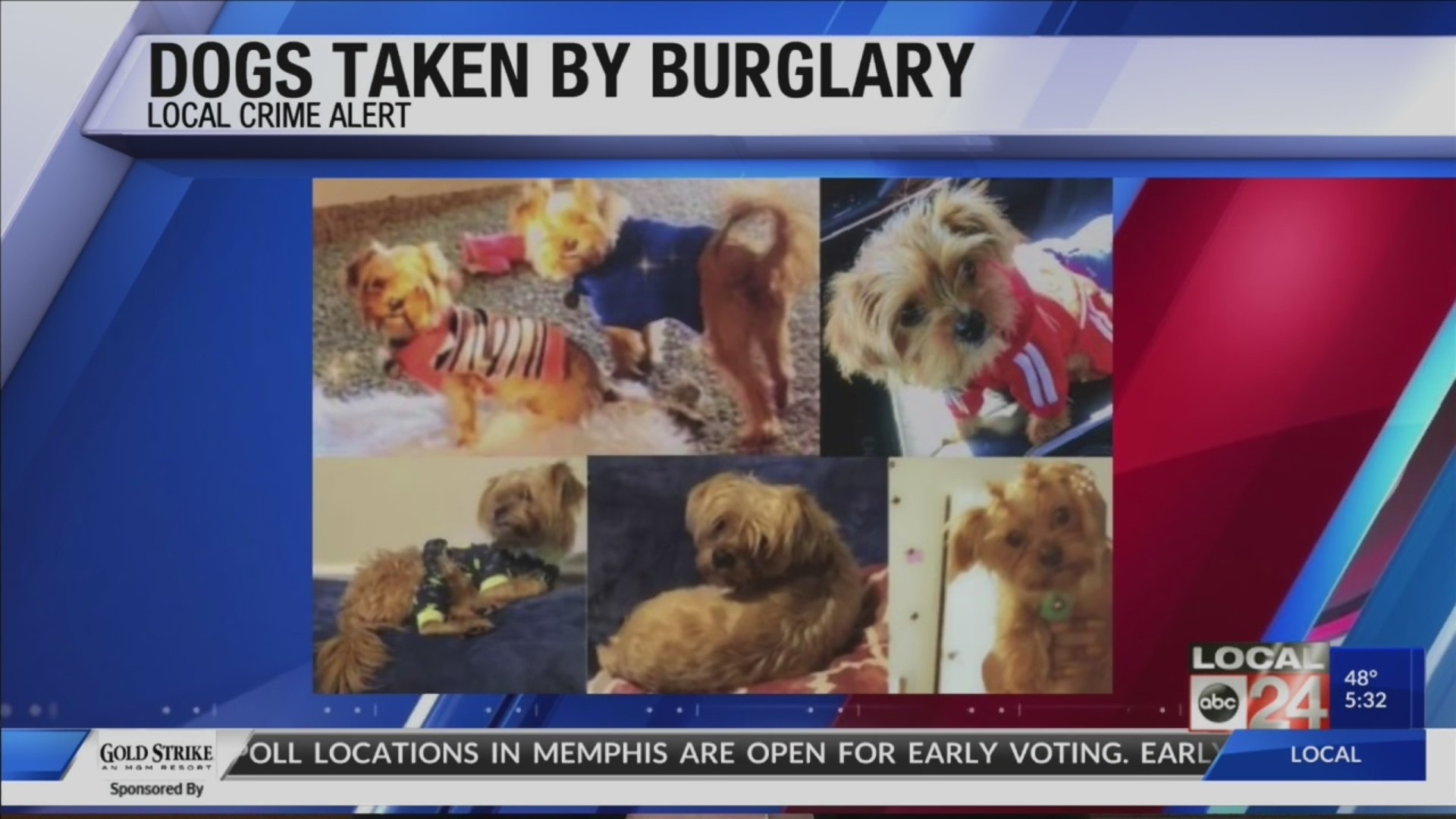 Memphis woman’s dogs stolen during home burglary