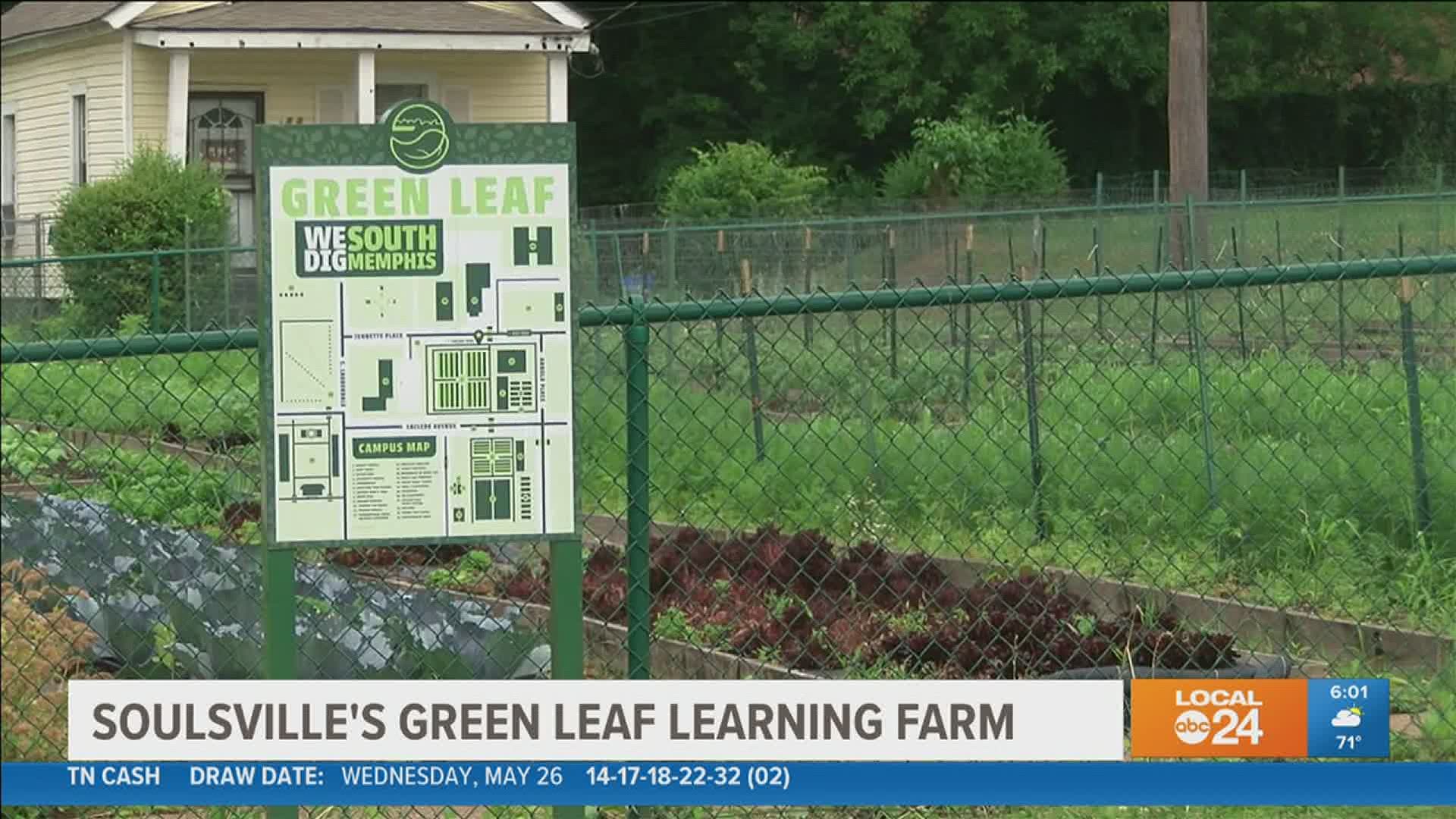 A hidden gem, the Green Leaf Learning Farm was started to support the nutritional needs or the community where healthy food options are limited.