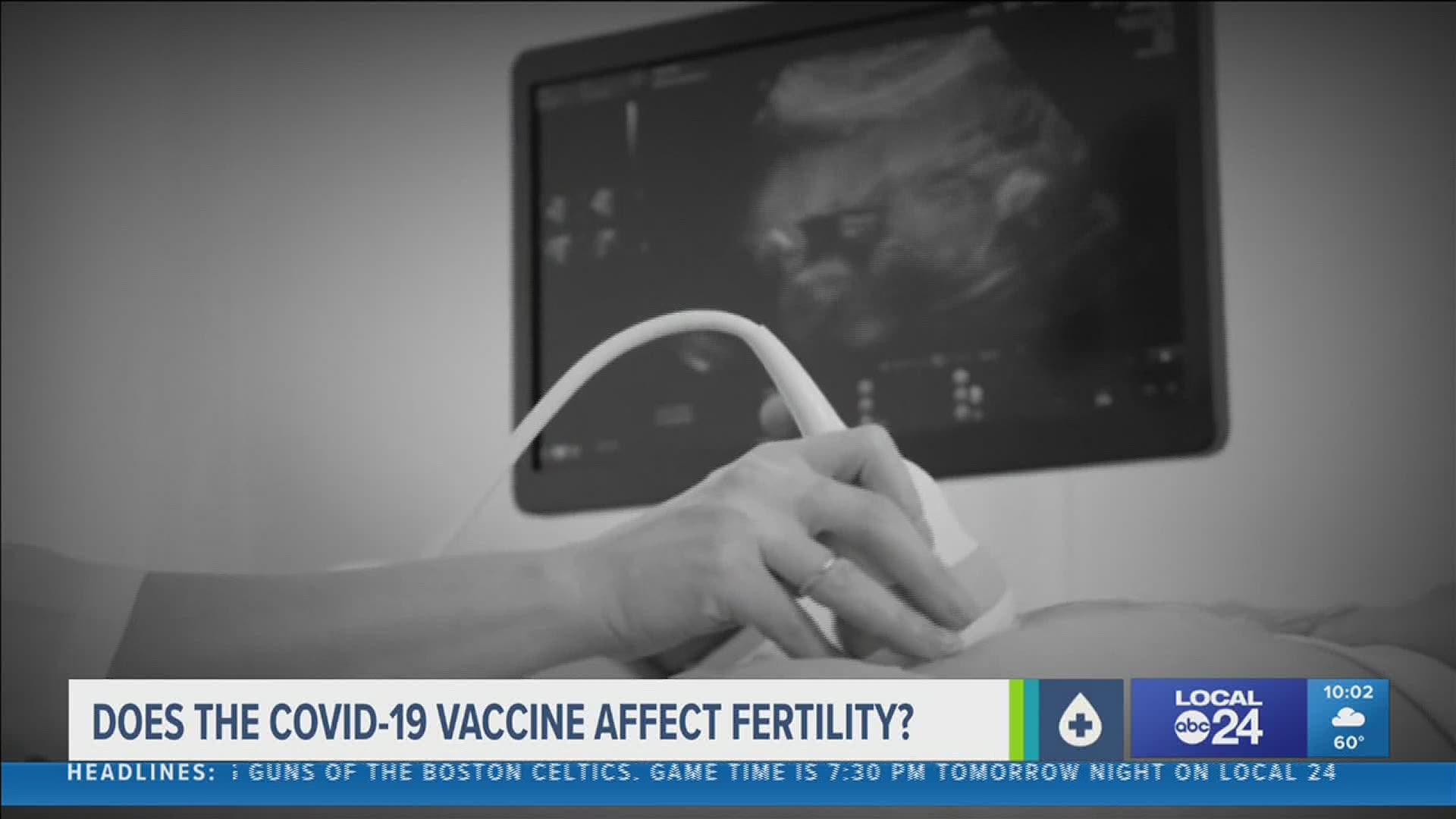“44,000 V-Safe participants indicated they were pregnant when they got their COVID vaccine or they got pregnant afterwards,” said Dr. William Kutteh.