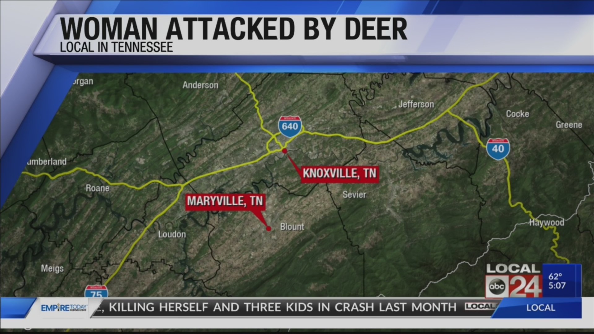 Tennessee woman seriously injured in white-tailed deer attack