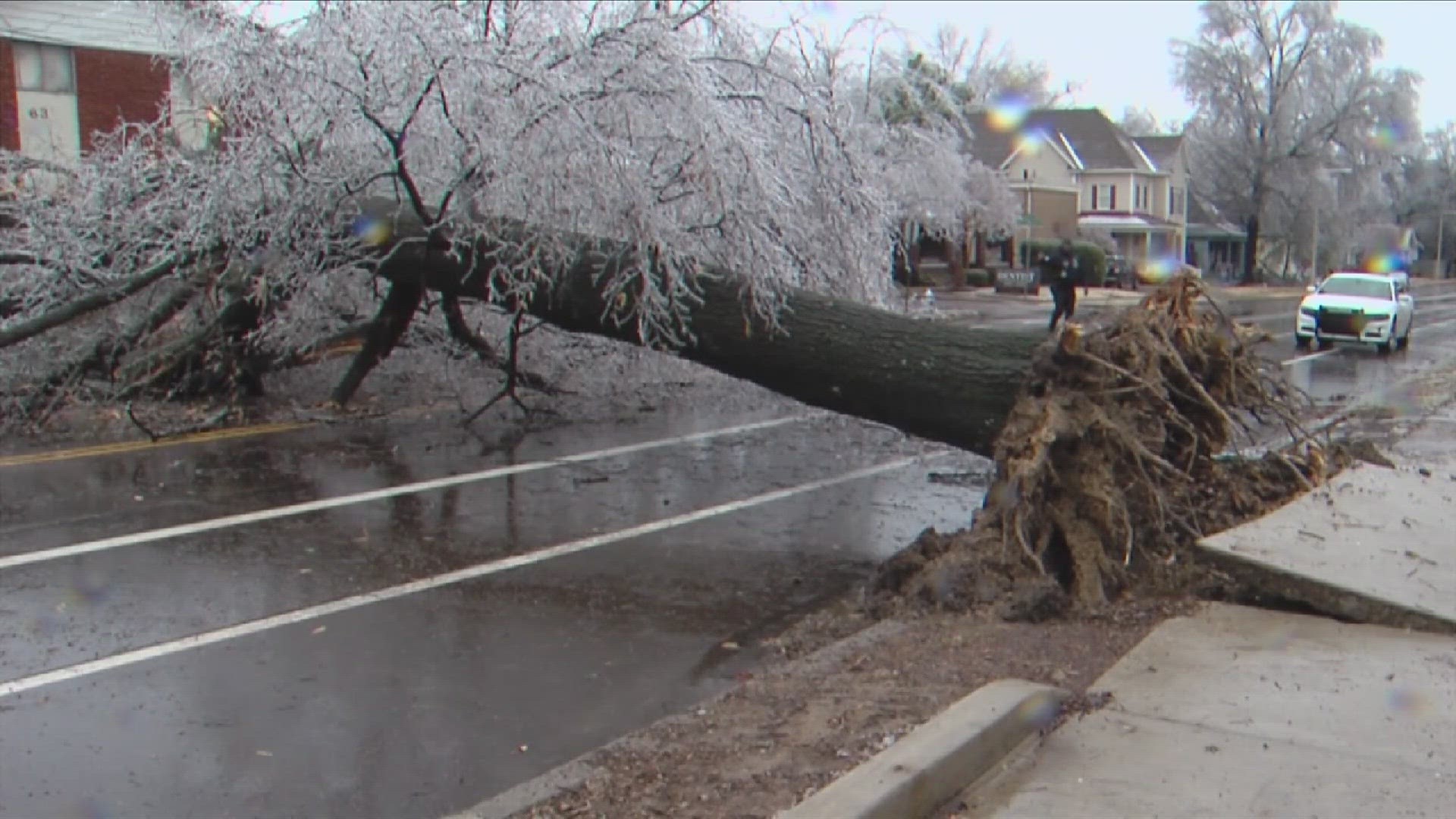 MLGW crews accelerated tree trimming since this past summer, but Memphians still worry about outages from downed trees on powerlines.