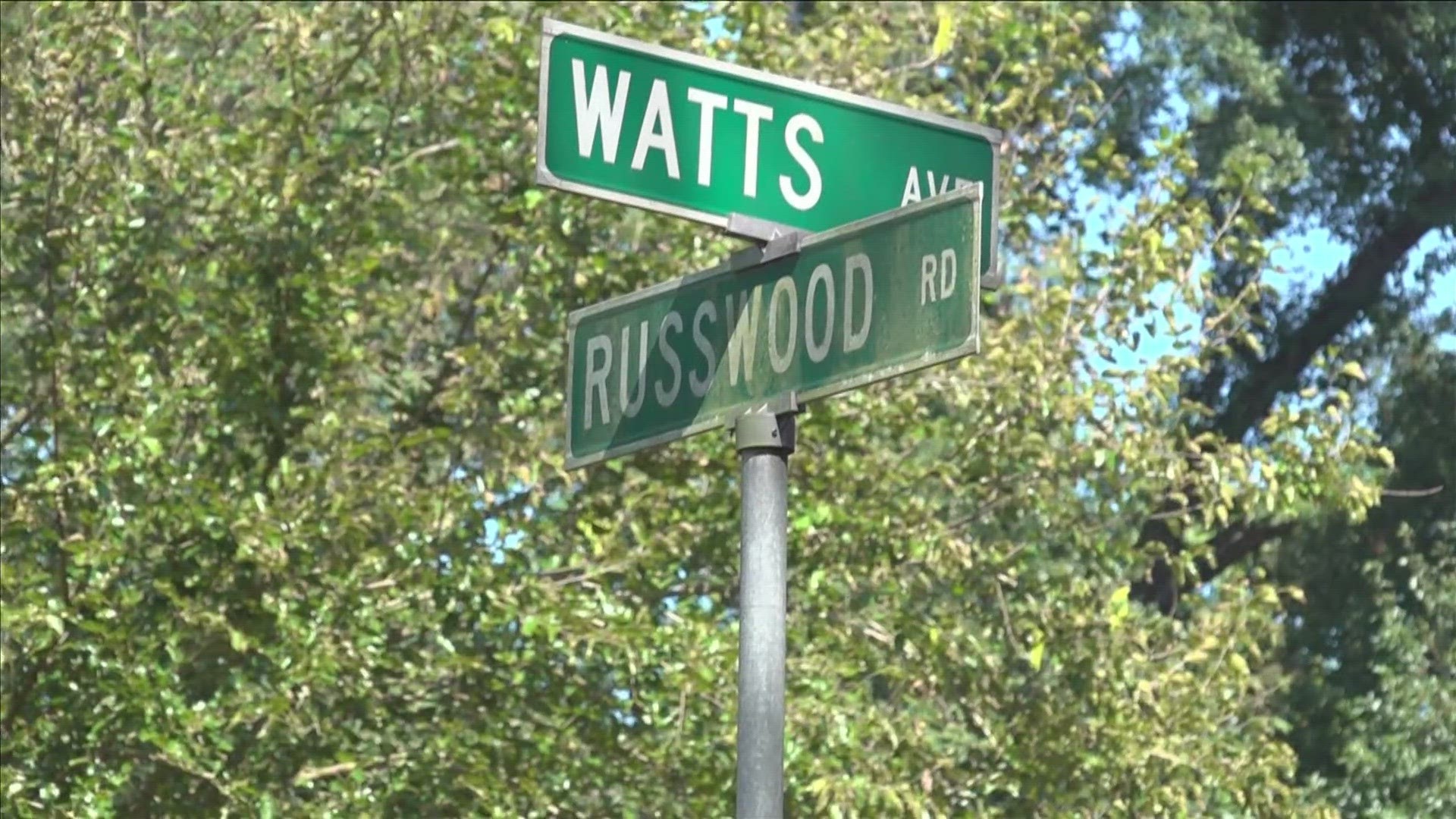 Watts Avenue, between Wells Station Road and Russwood Road, is sometimes lined with as many as six stray dogs at once, and mail carriers said they are tired of it.