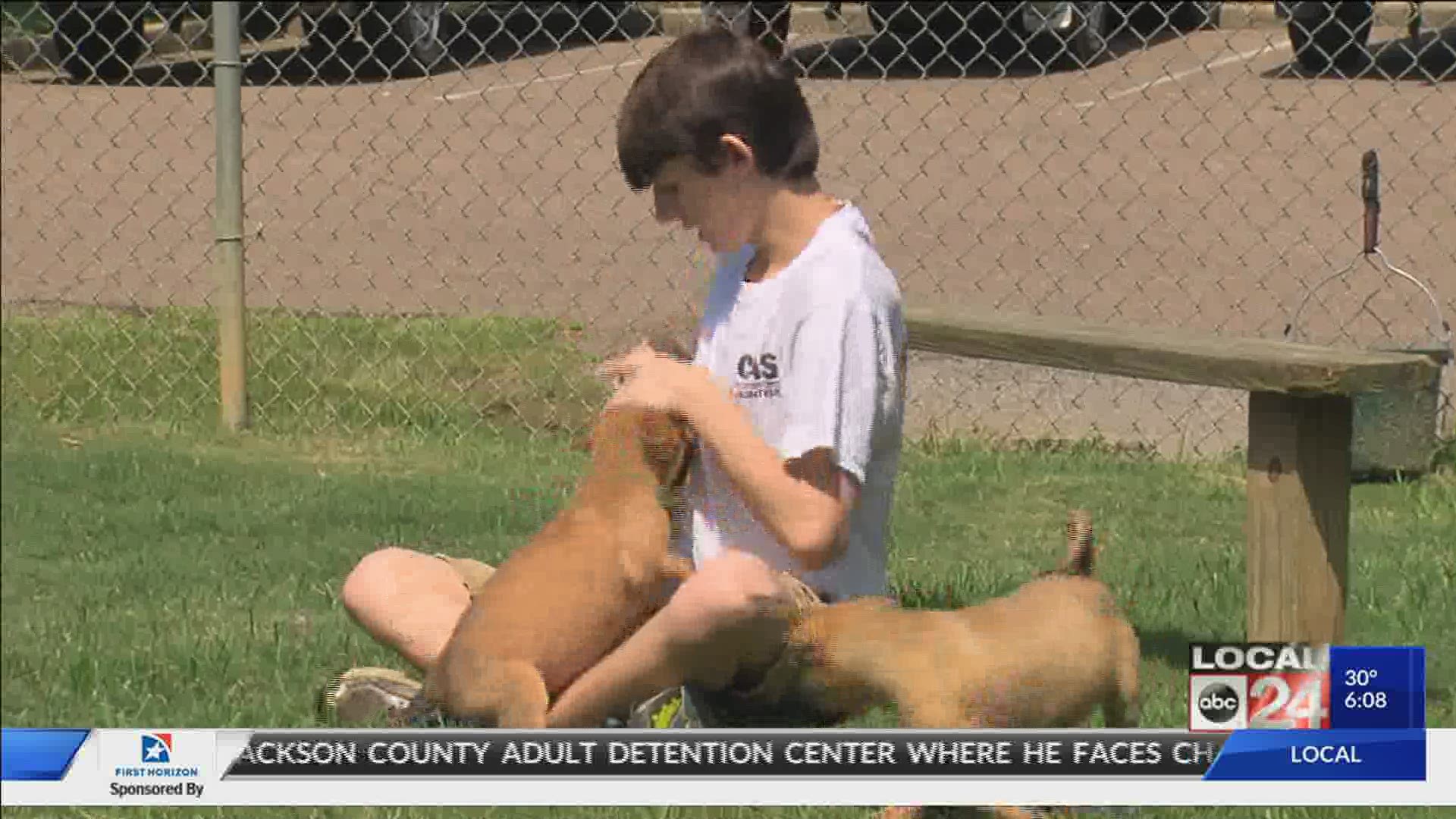Animal shelters are always looking for ways to improve the lives of animals and to make them more adoptable. The Collierville Animal Shelter is looking to add an off