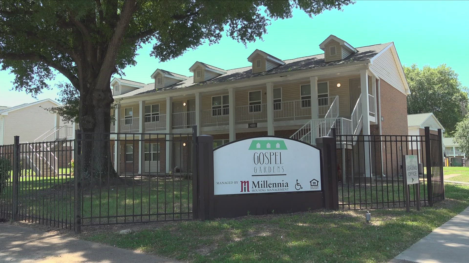 Tenants say mold, no working AC, animals and insects are the biggest problems.