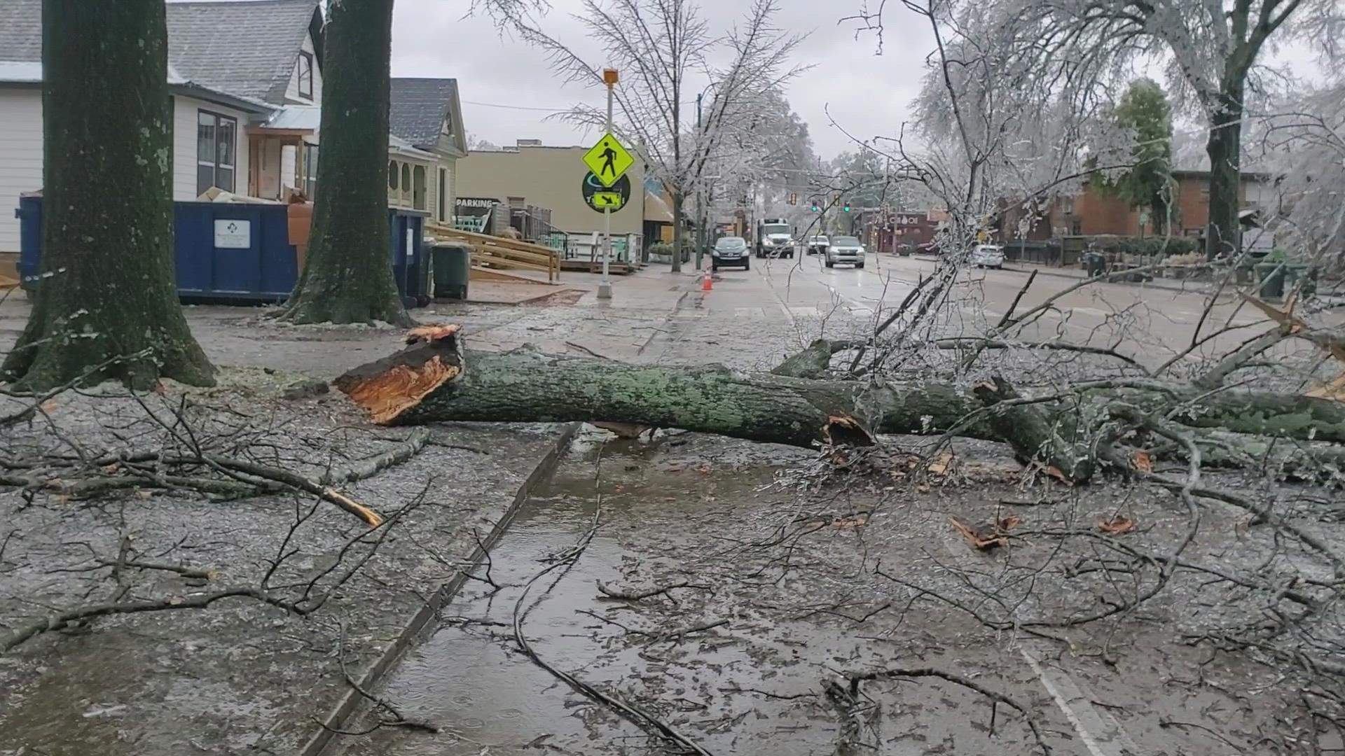 Take a look at this tree that fell across Cooper Street in Cooper-Young in midtown Memphis during the ice storm. February 3, 2022.