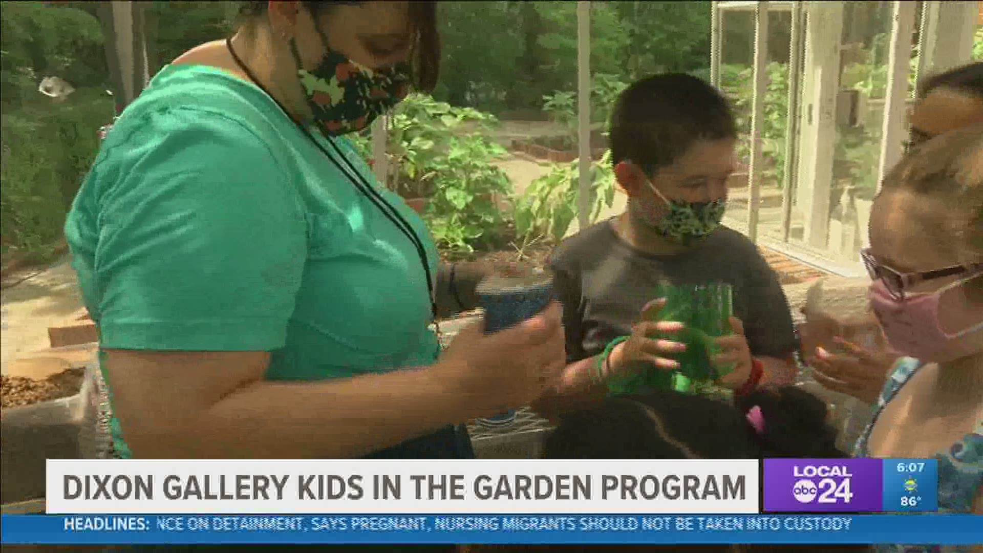 The Dixon Gallery and Gardens is holding a free summer program called ‘Kids in the Garden.’ The program offers both classroom and garden learning.