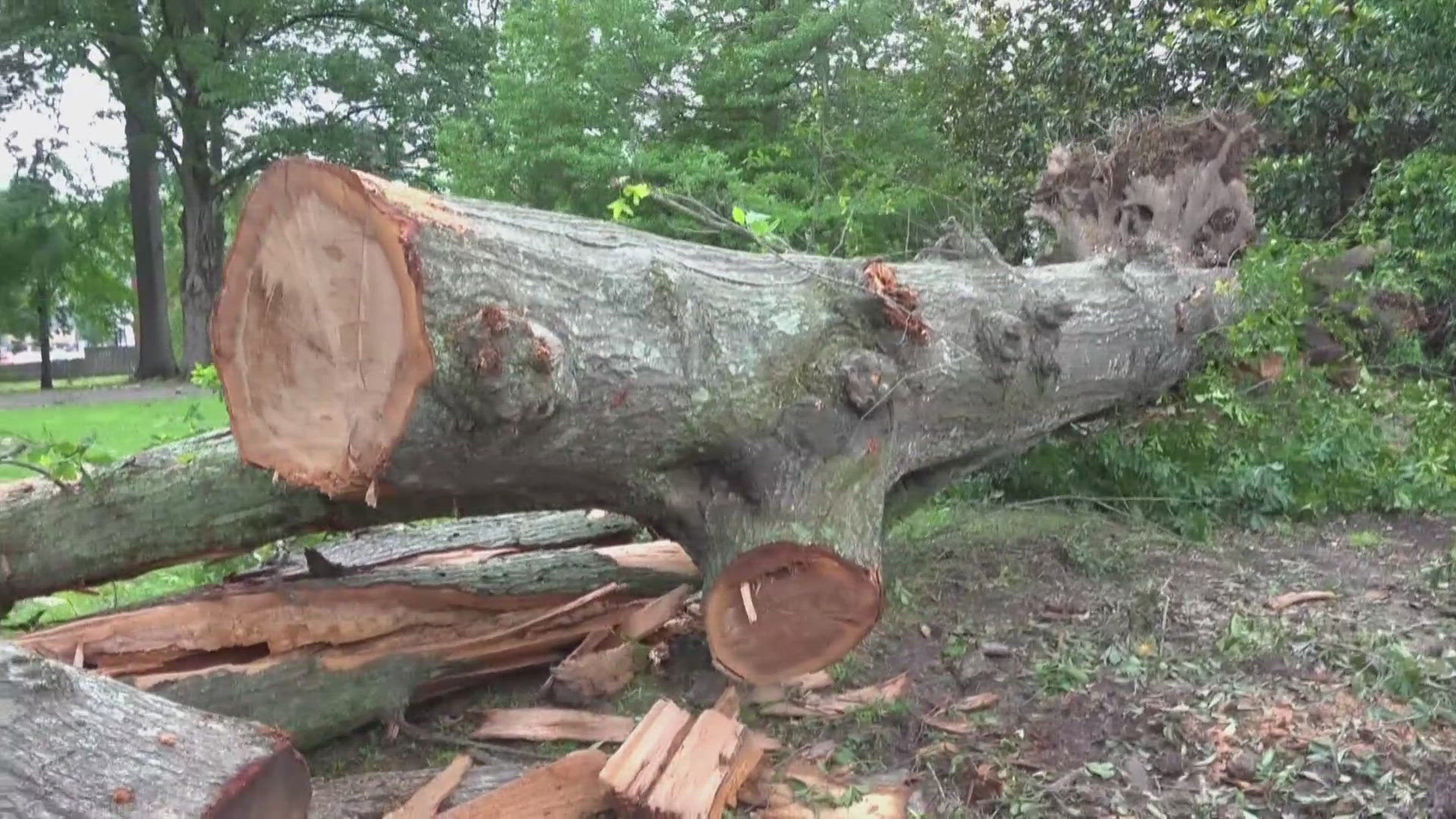 Survey teams from the National Weather Service found damage consistent with an EF-1 tornado from May 18's storms in Hernando.