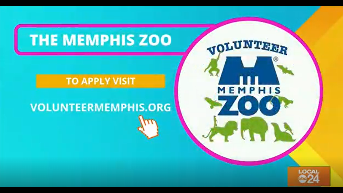 Memphis Zoo Volunteer Opportunity!