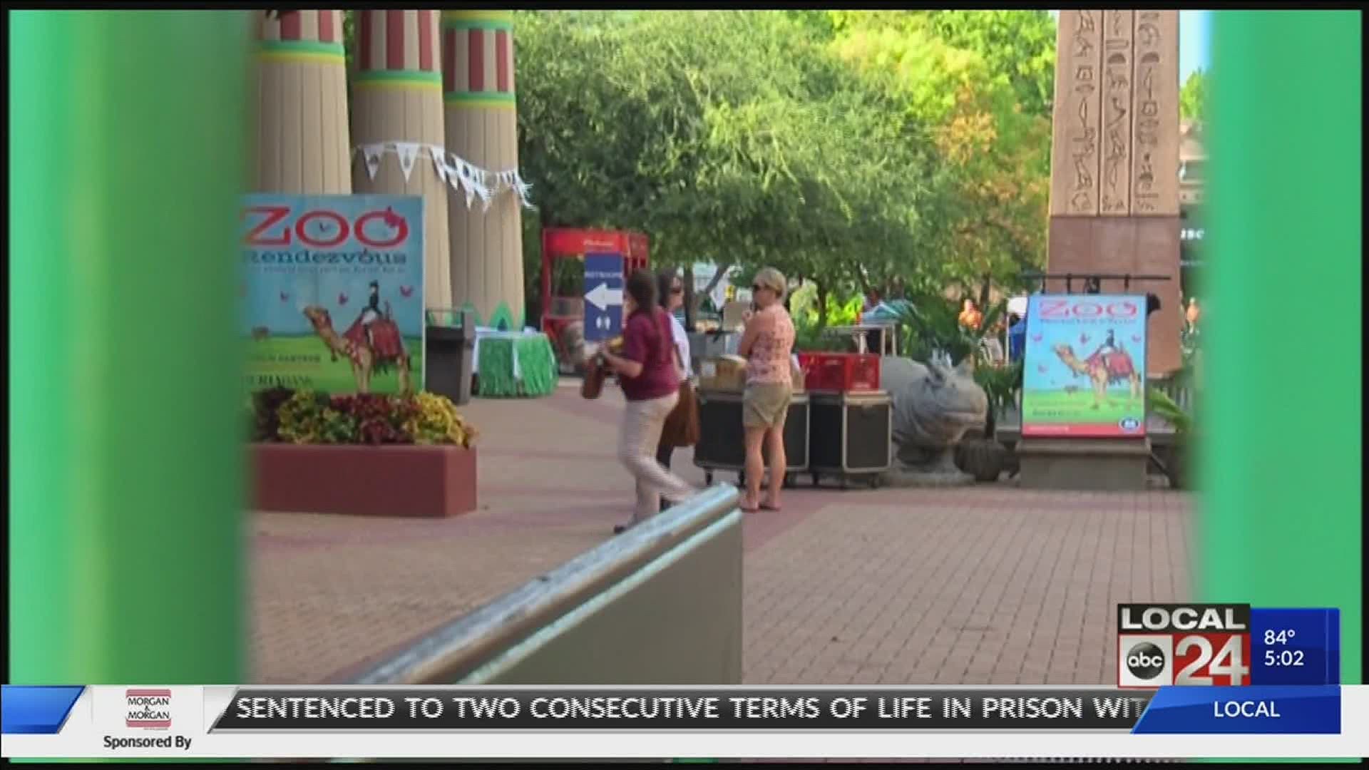 The Memphis Zoo announced Monday morning that Zoo Rendezvous is canceled for 2020.
