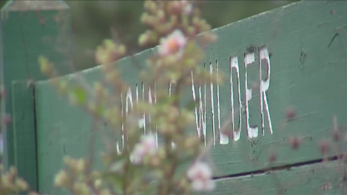 Wilder Youth Development Center to receive upgrades - Vimarsana News