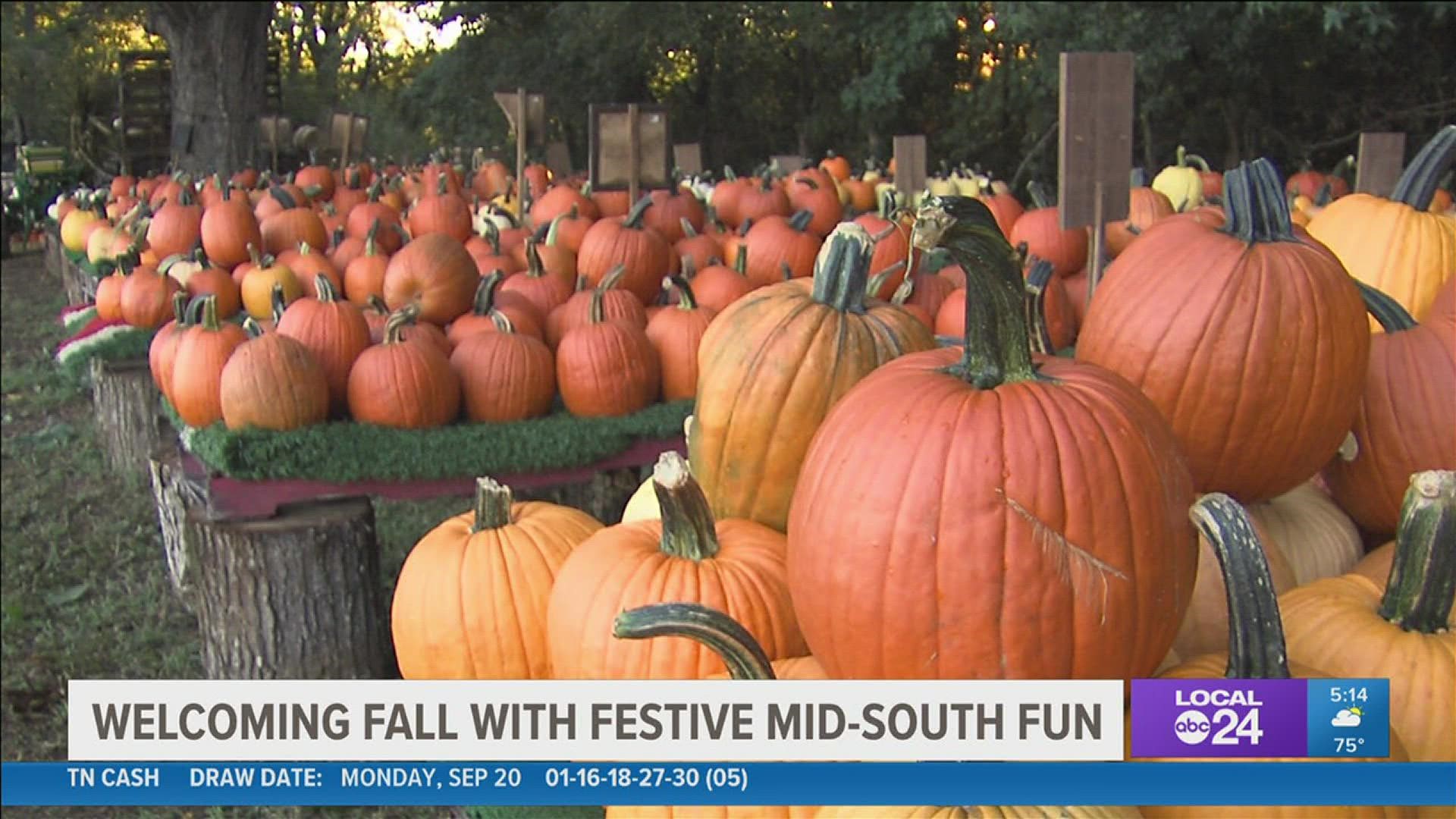 October has become the busiest month of the year for the Millington business.