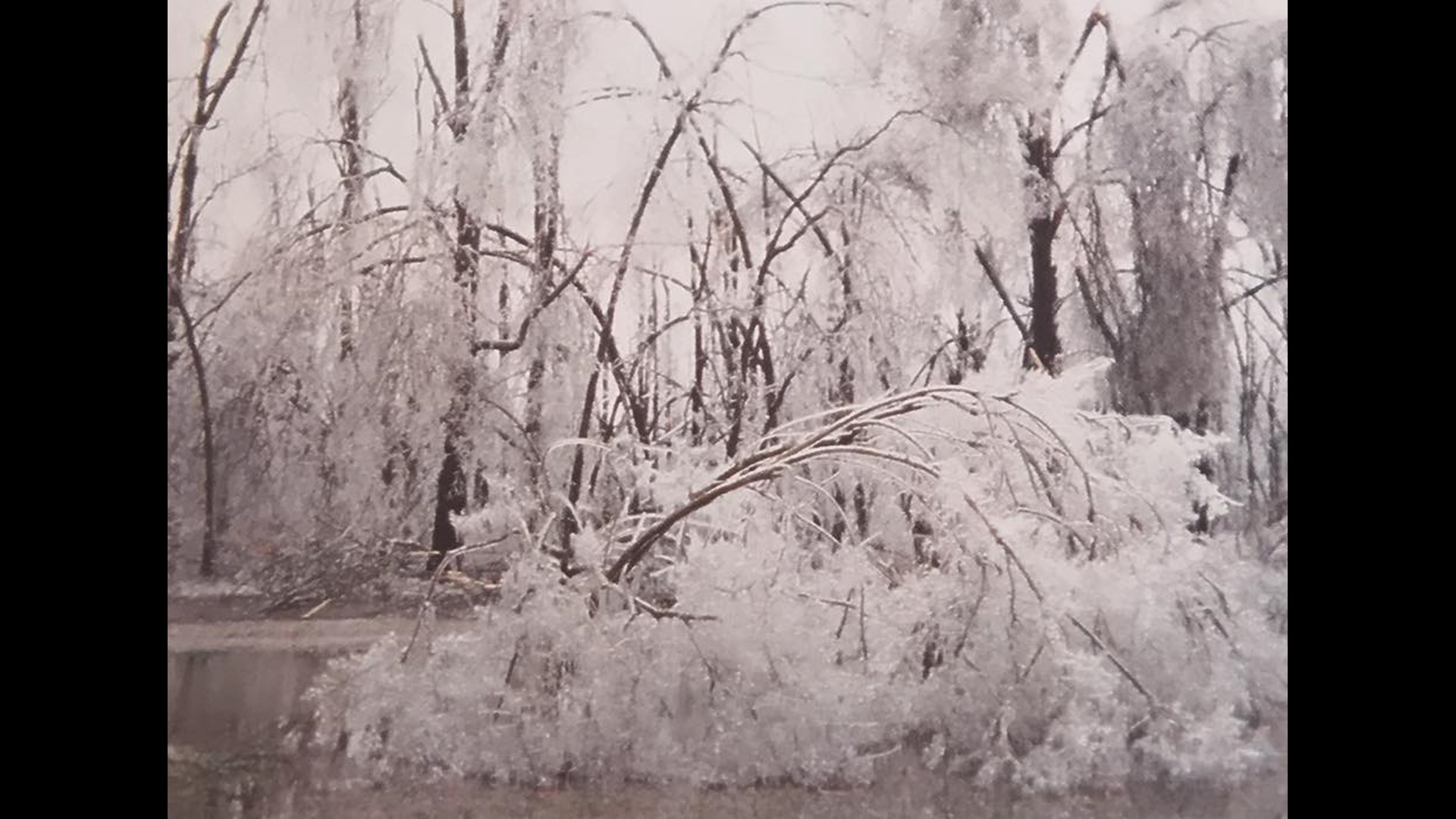 Pictures from the February 1994 ice storm in the MidSouth