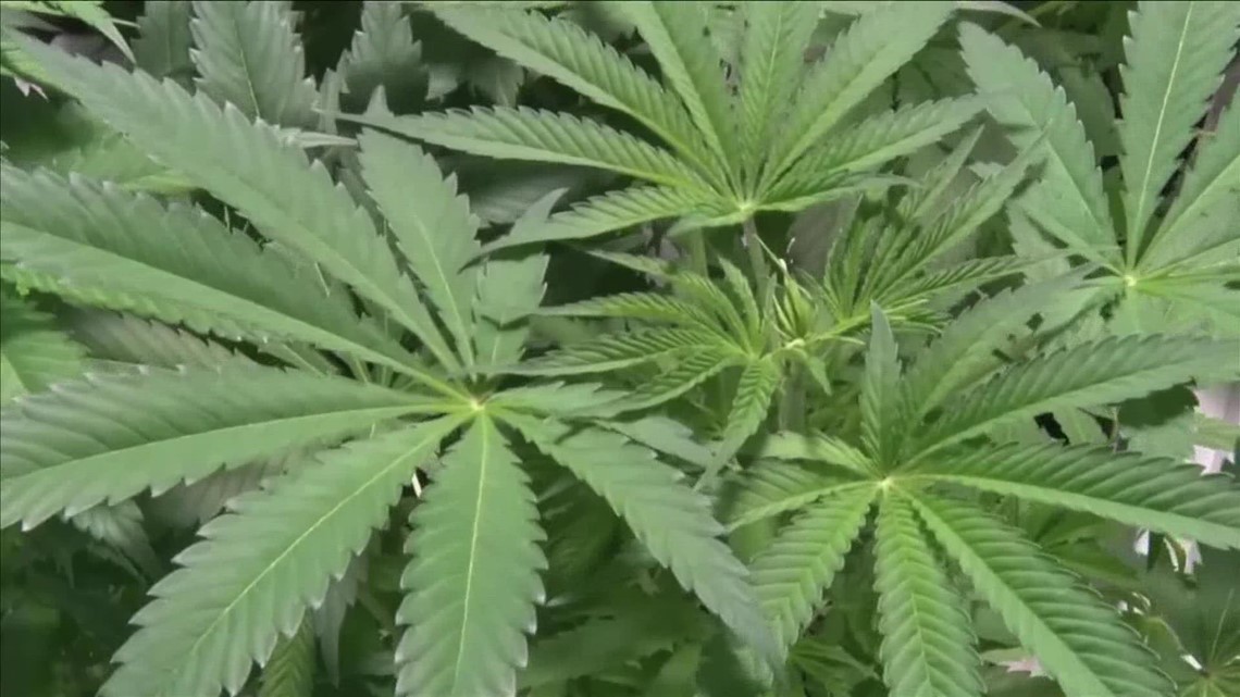 What's next for recreational marijuana in Arkansas?