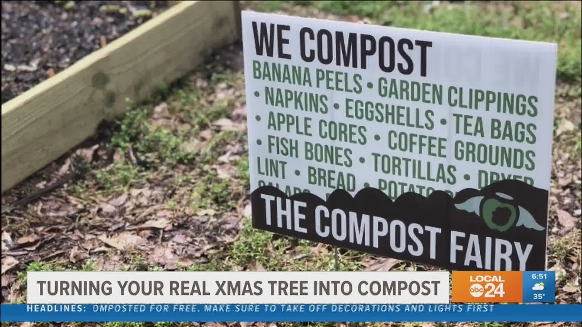 The Compost Fairy has been busy during this pandemic with growing interest and they want your Christmas trees too!